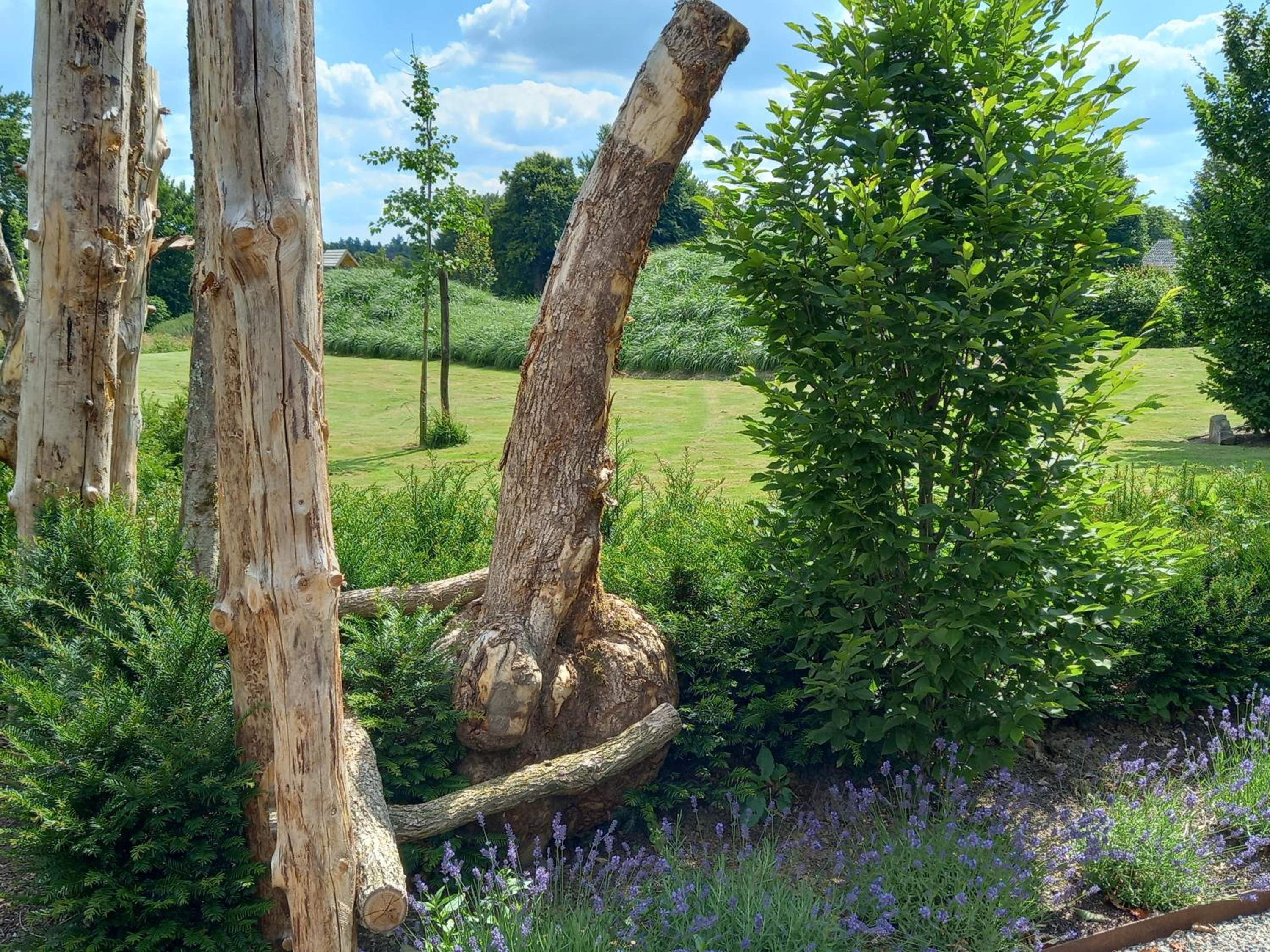 Le jardin des fagnes