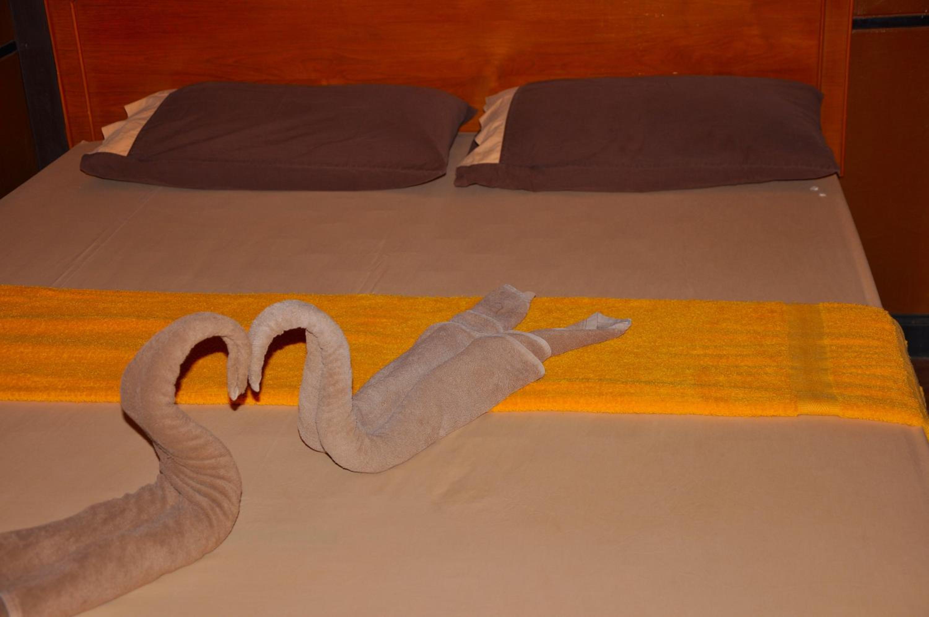 Coral Resort & Bungalows