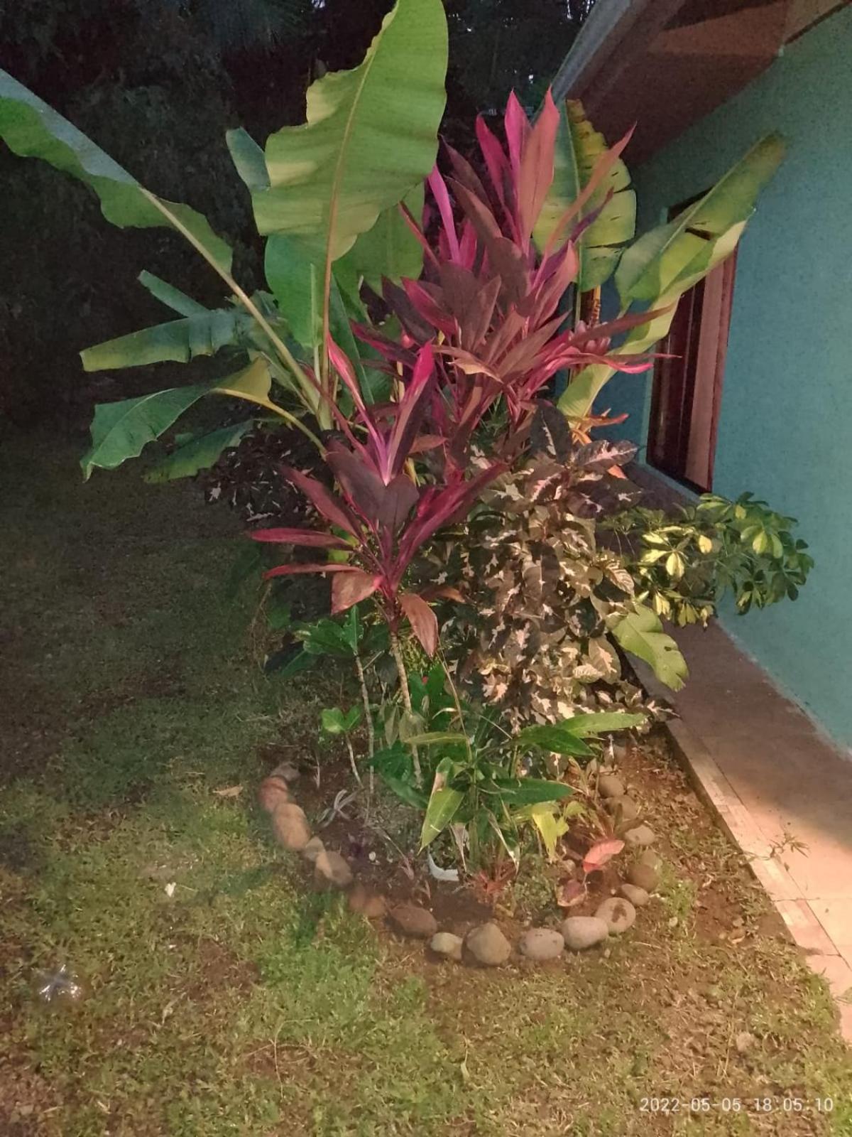 Casa el Jardin