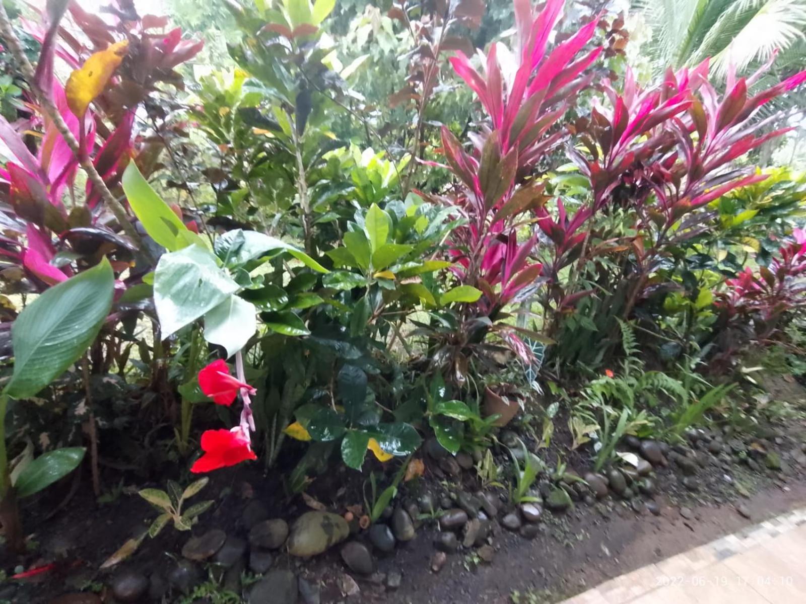 Casa el Jardin