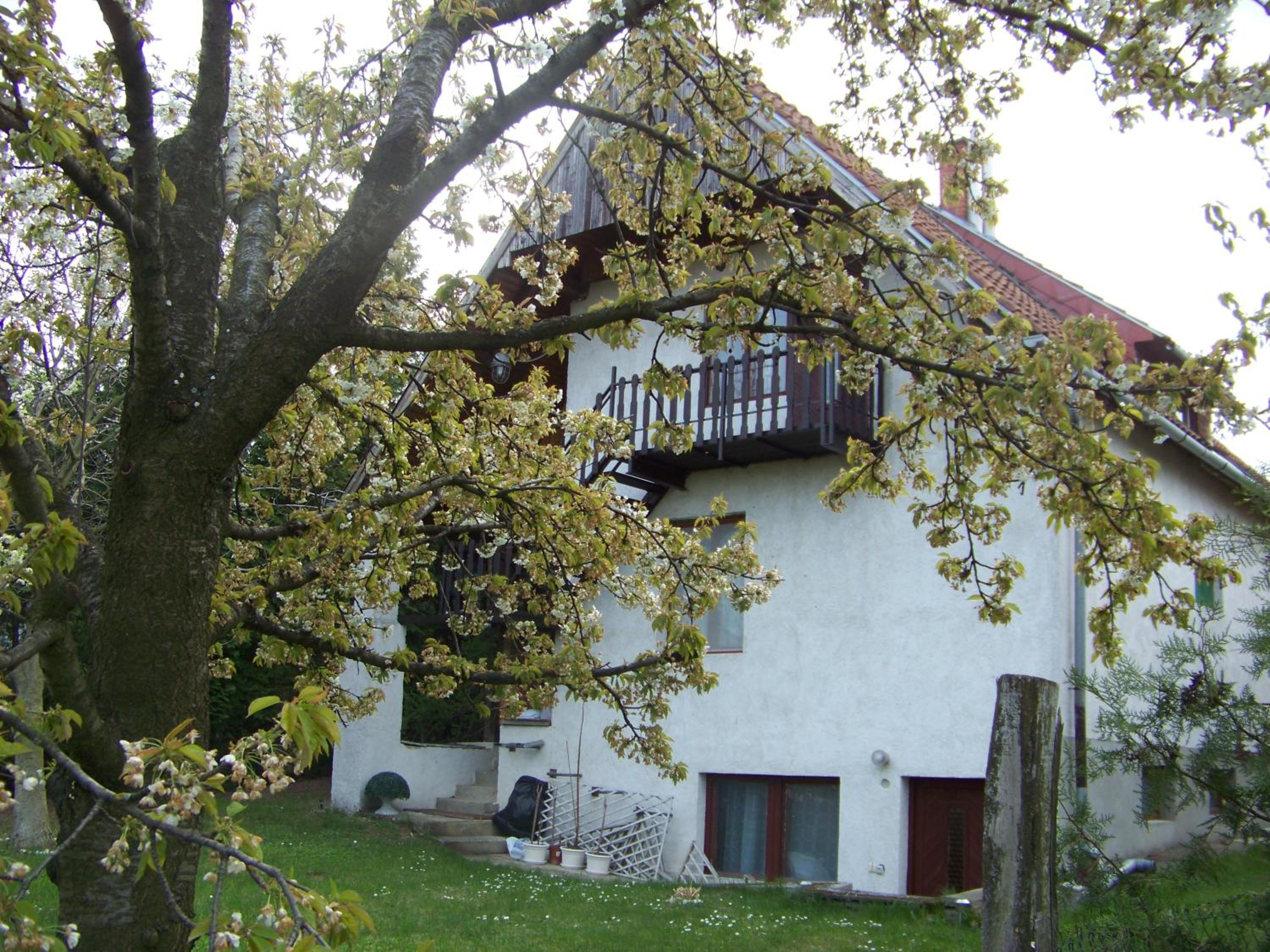 Nefelejcs Apartman