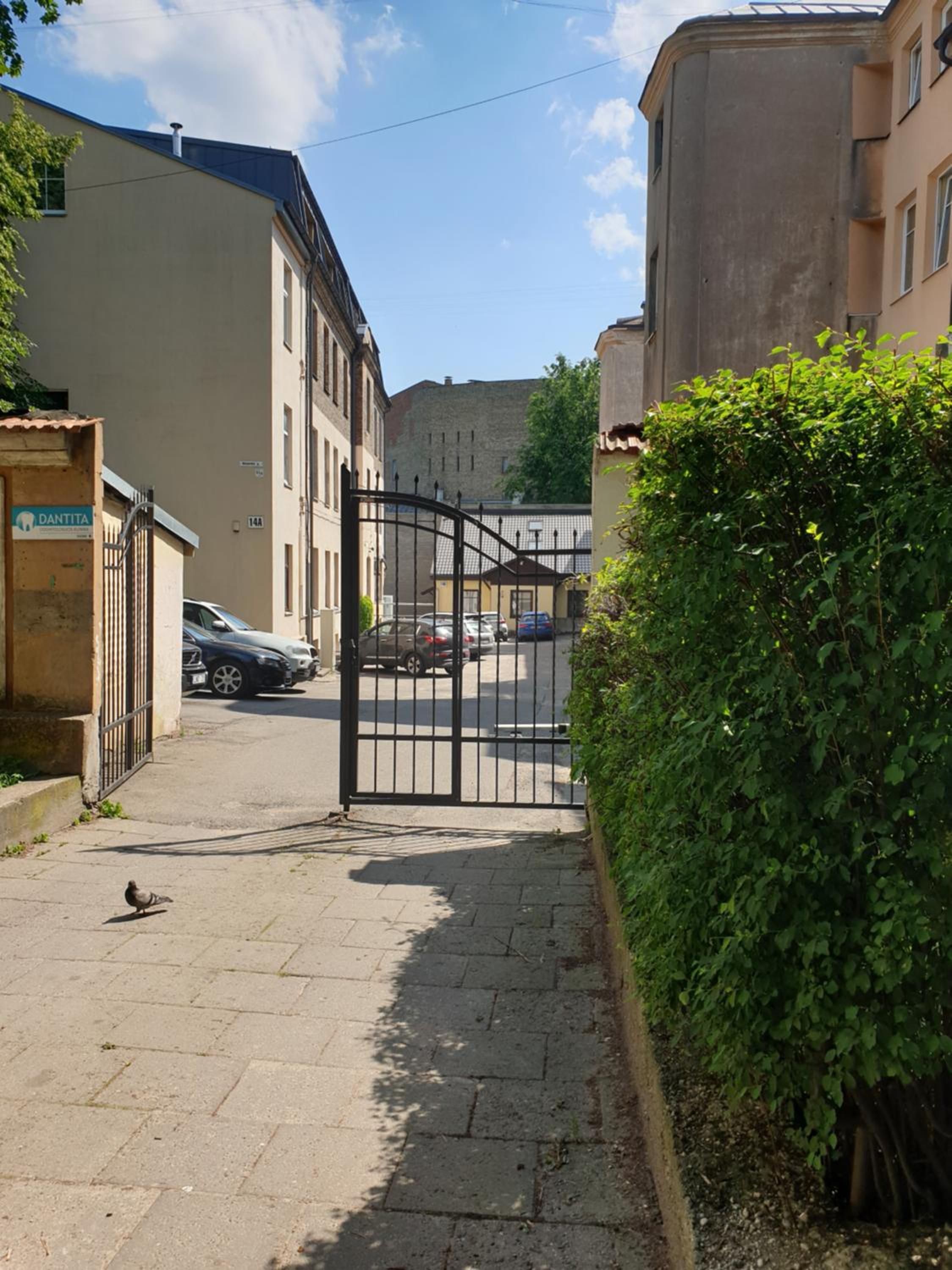 Photo 14
