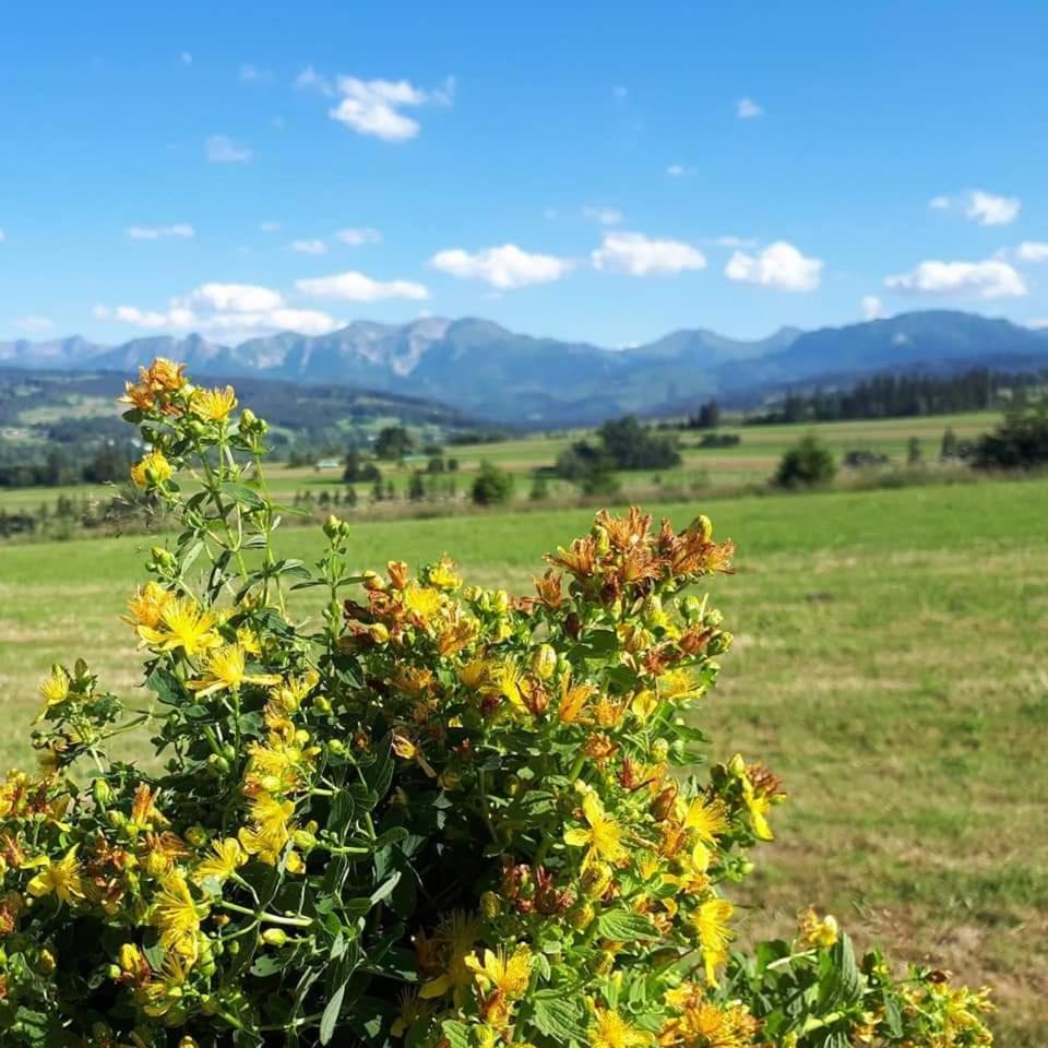 Magurskie Bywanie view 4