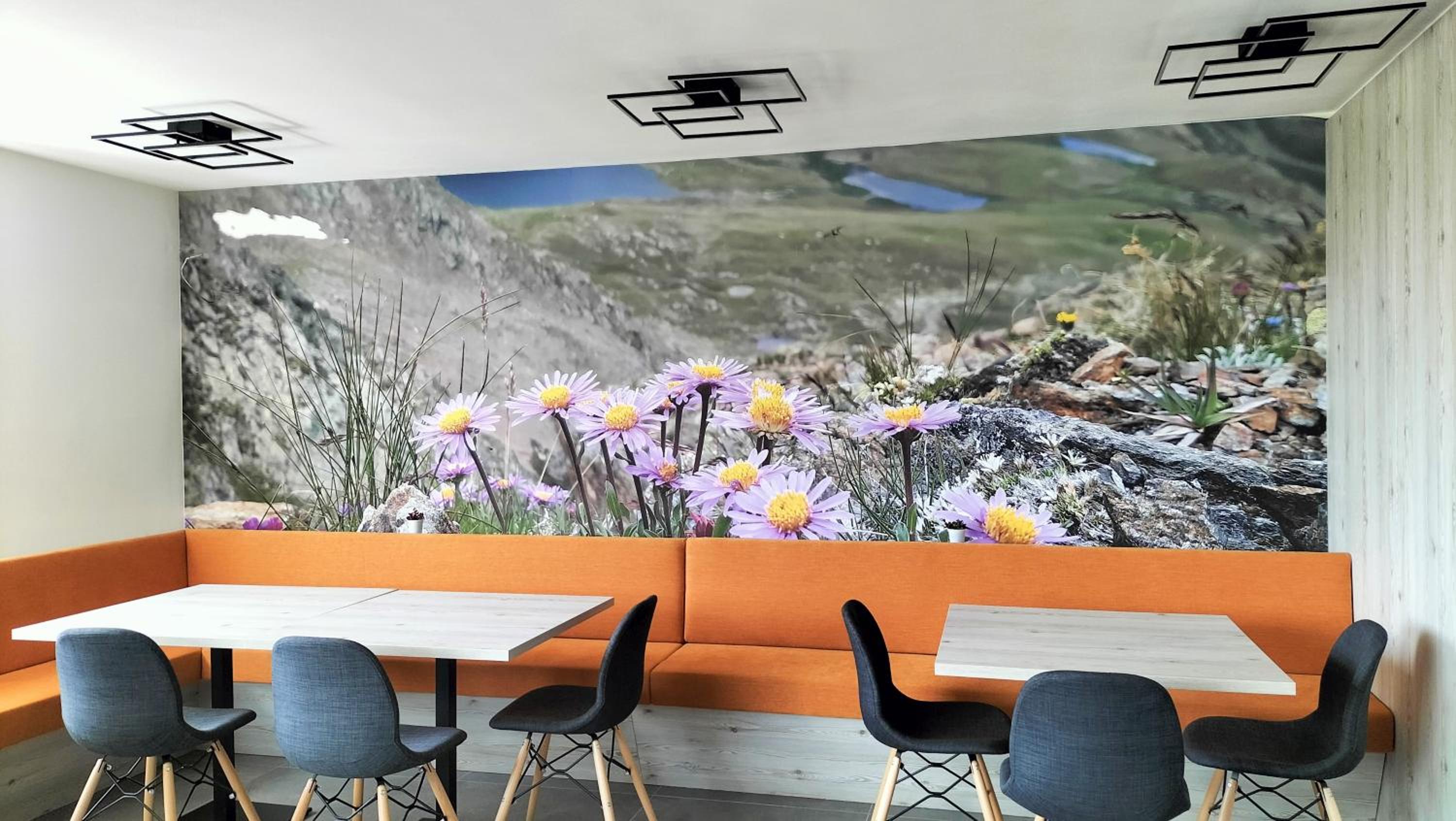 Agritur La Fenice