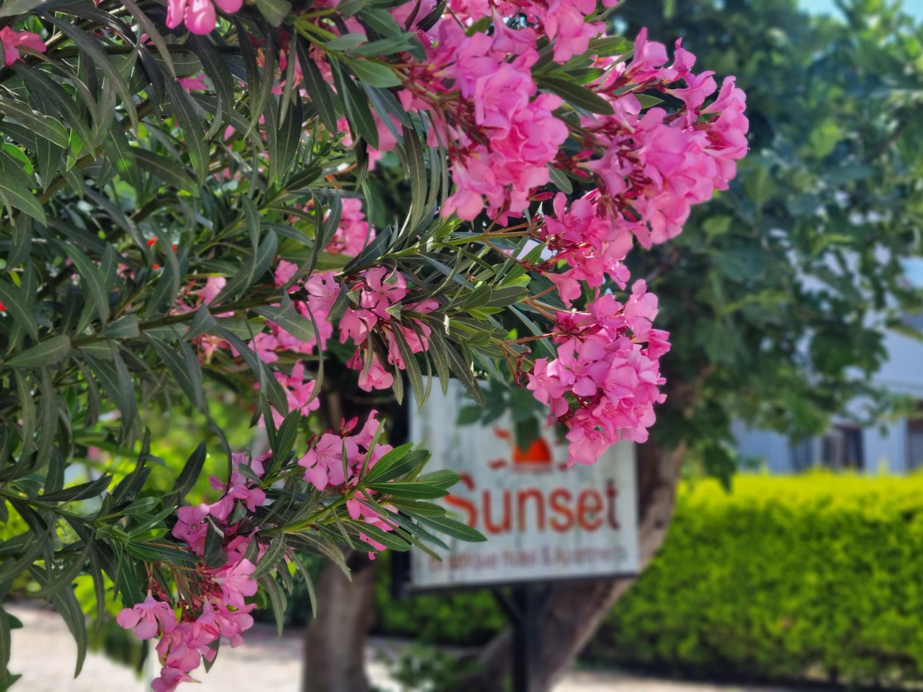 Sunset Boutique Hotel & Apartments