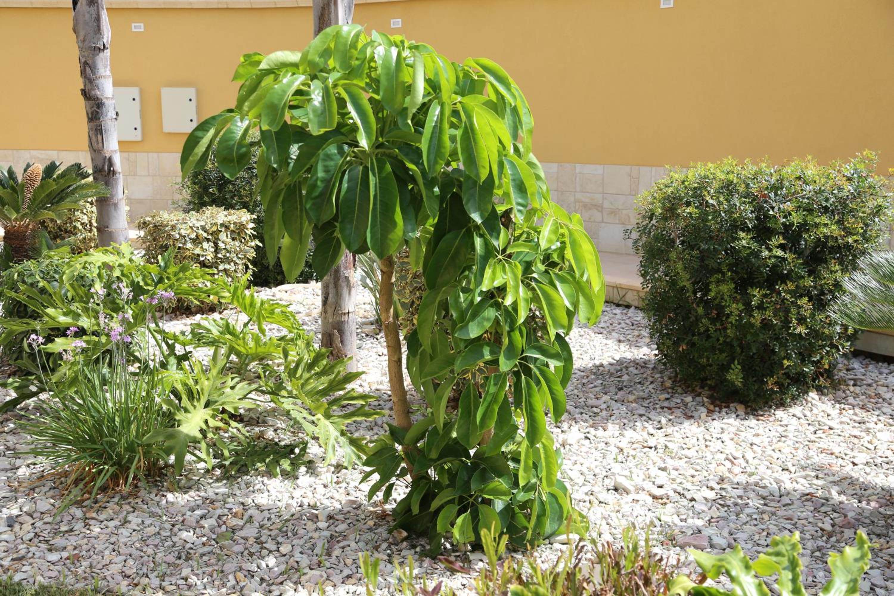 Photo 41
