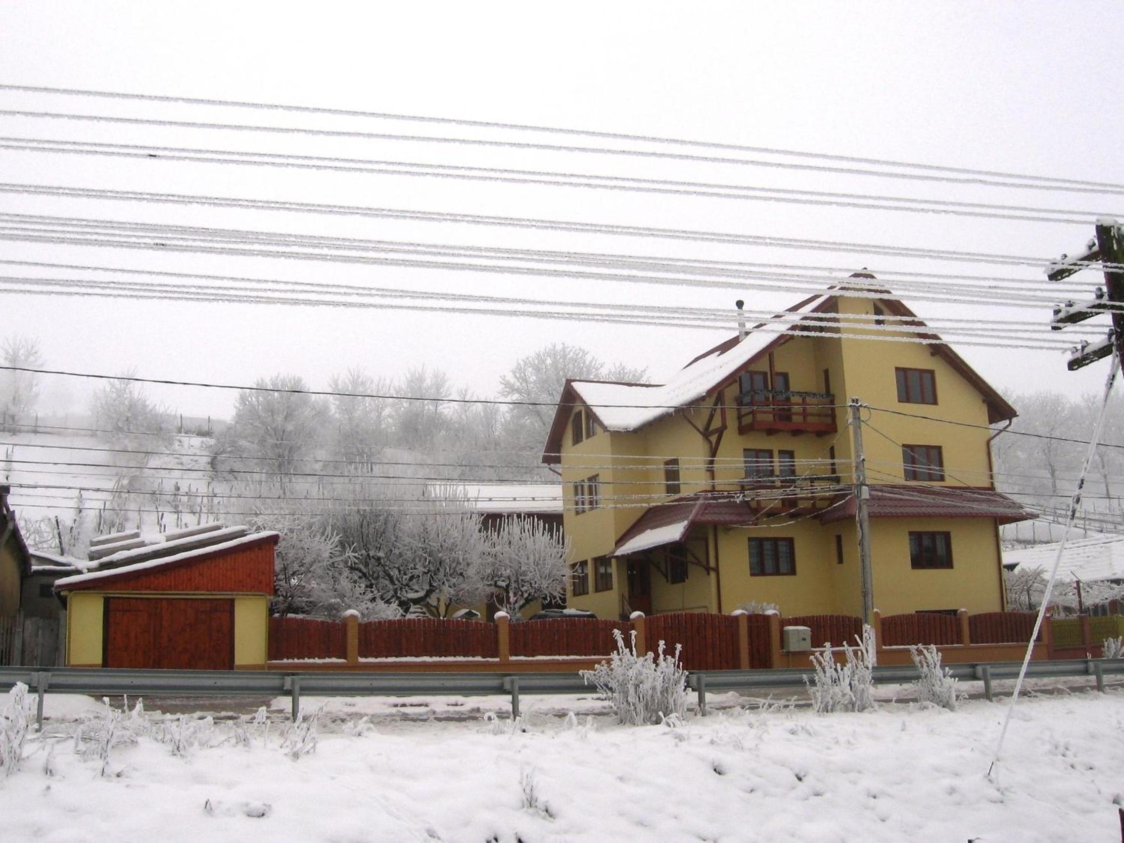 Photo 48