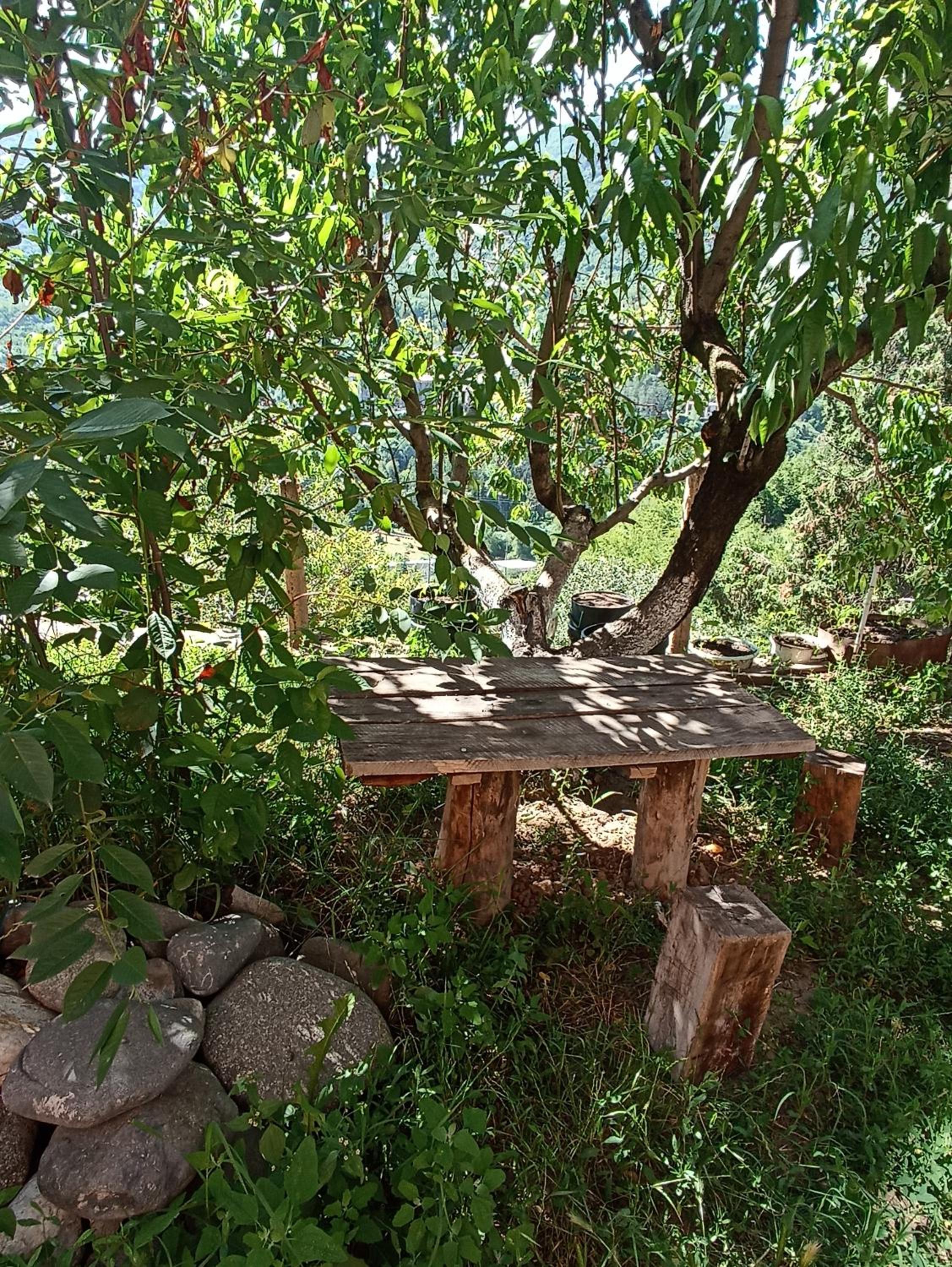 Green Garden