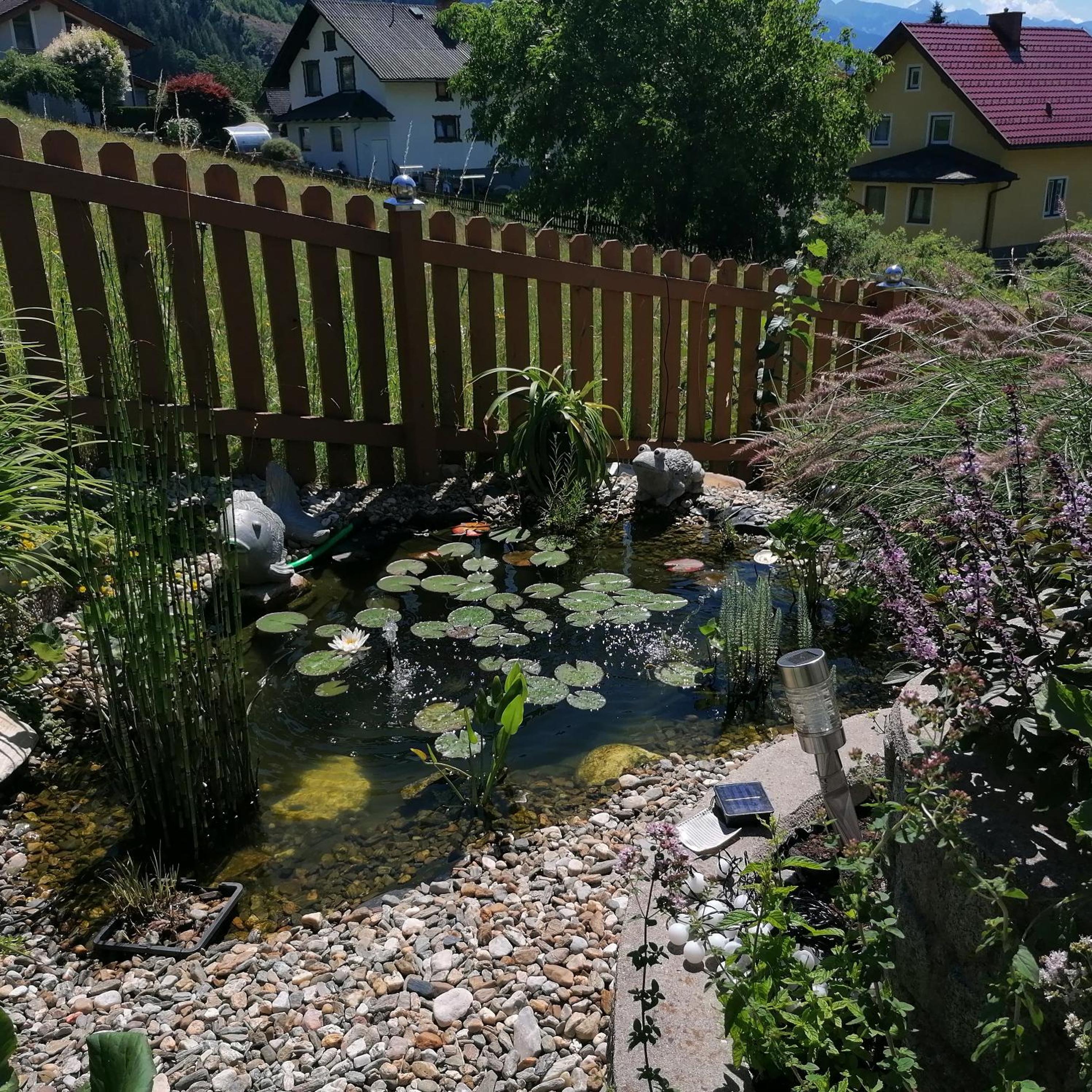 Photo 29