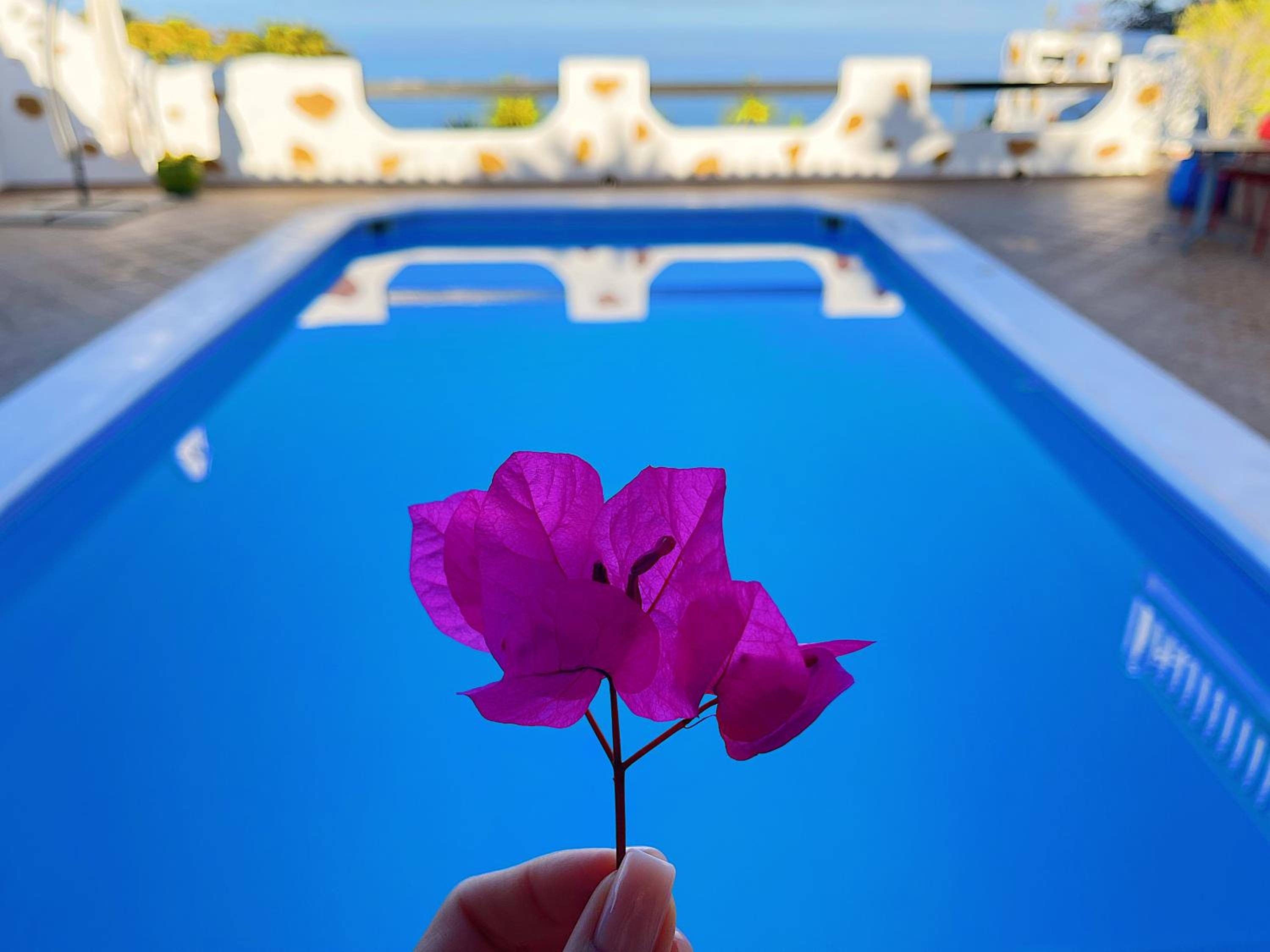 CASANTILVIA heated pool paradise view 3