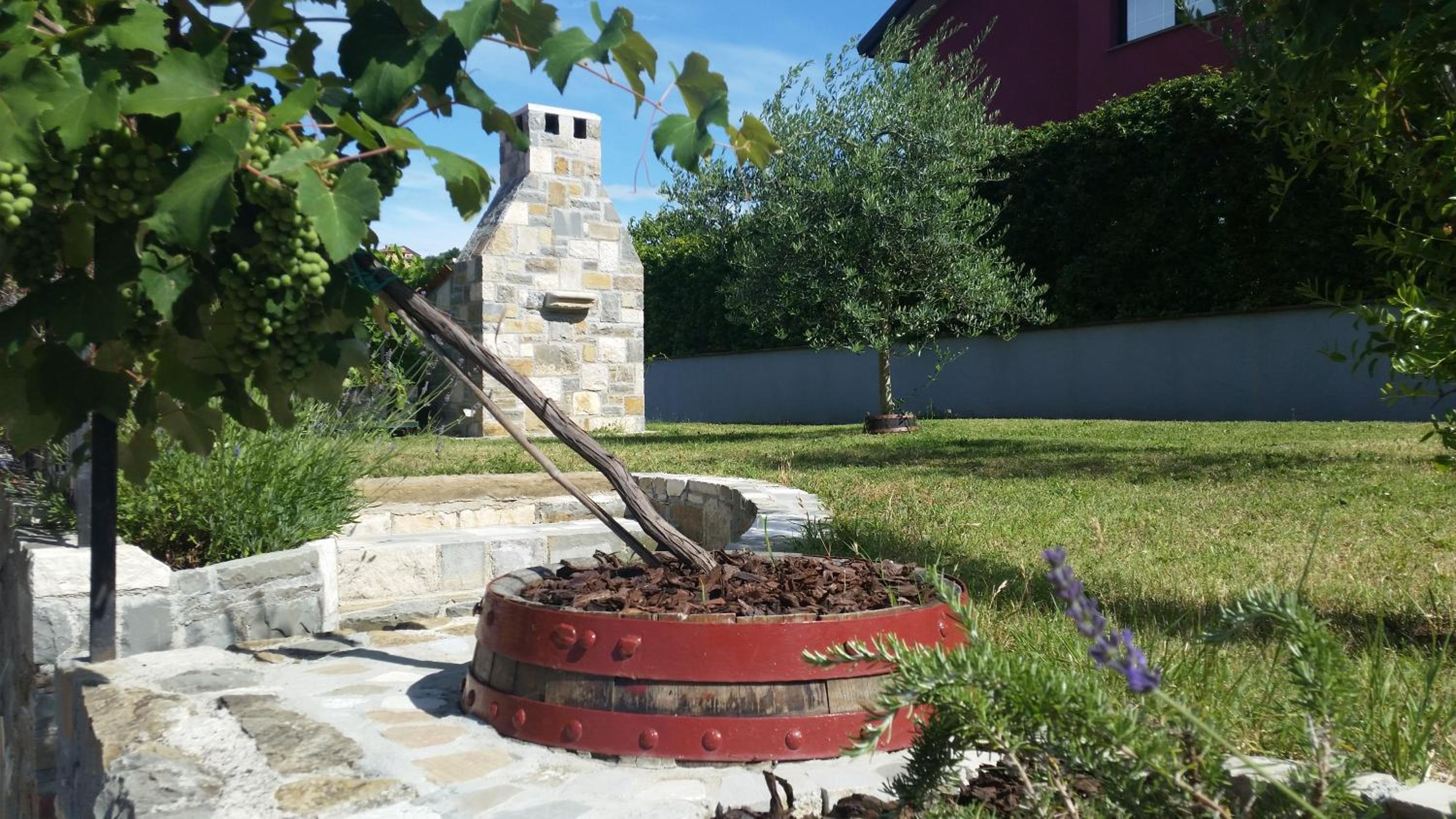 Photo 17