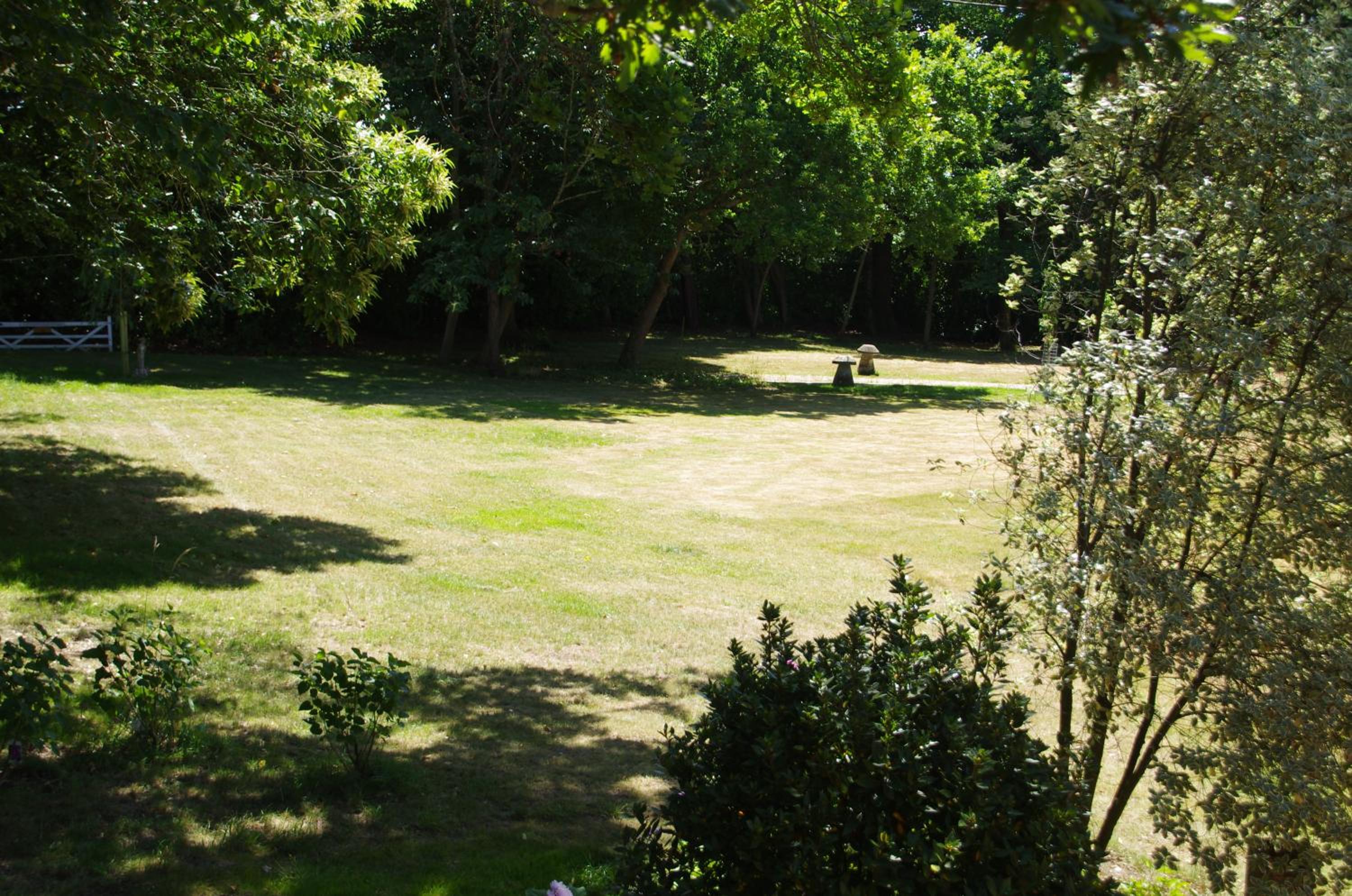 Photo 34