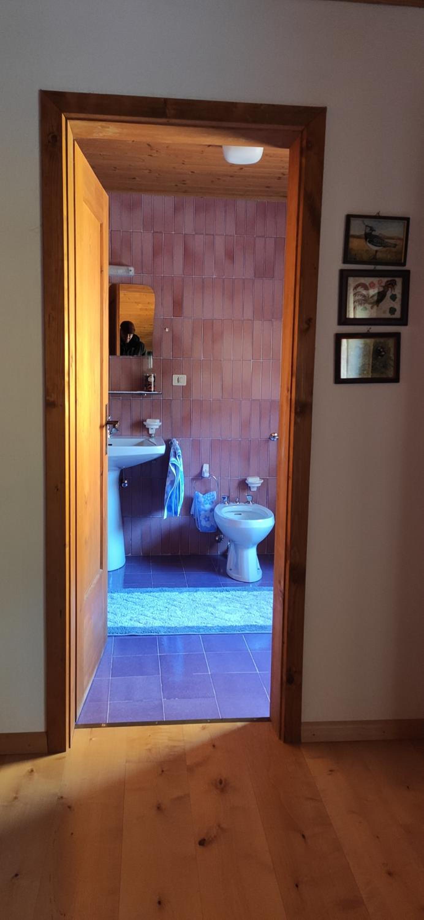 Photo 45