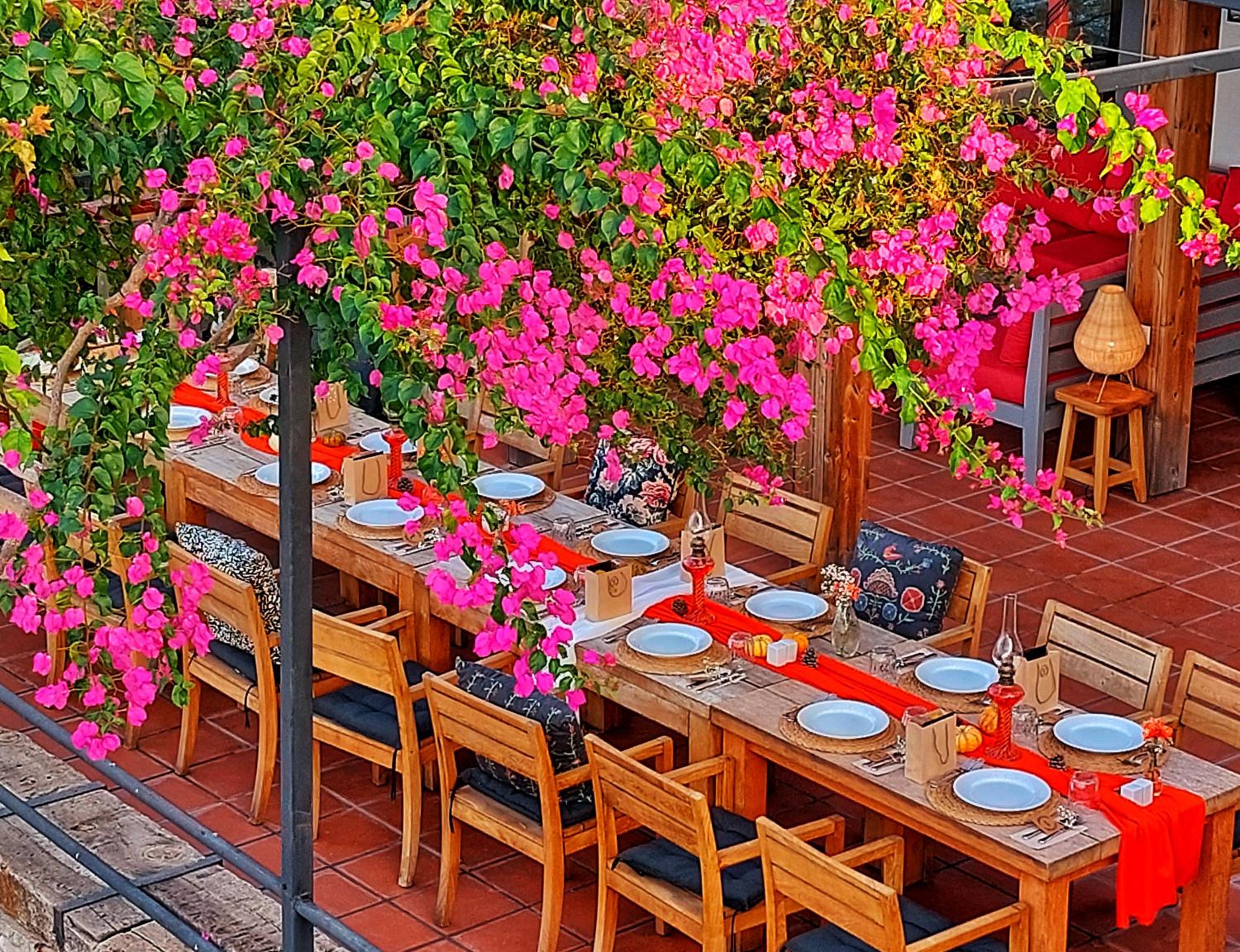 Ece Otel Sovalye Adası - Image 130