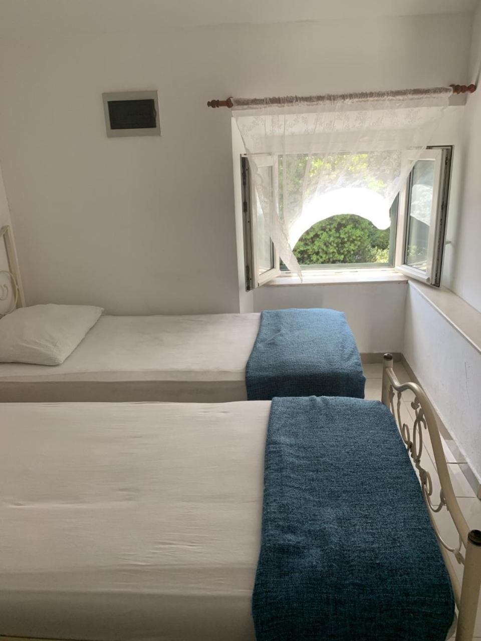 Photo 10 sur 24 de Rooms Villa Garden