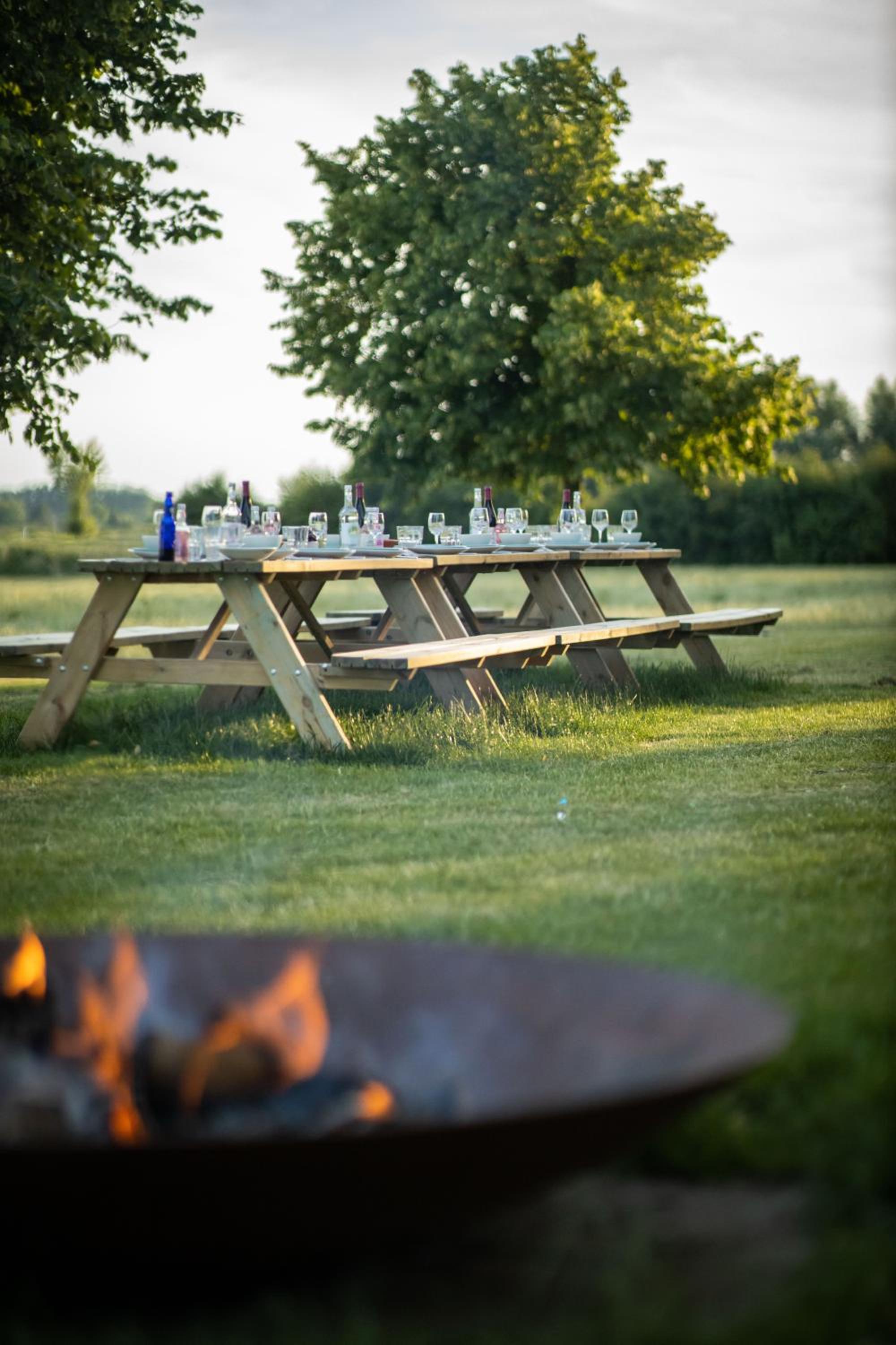 Blauwe Hoeve Luxe, ruimte, privacy en rust view 5