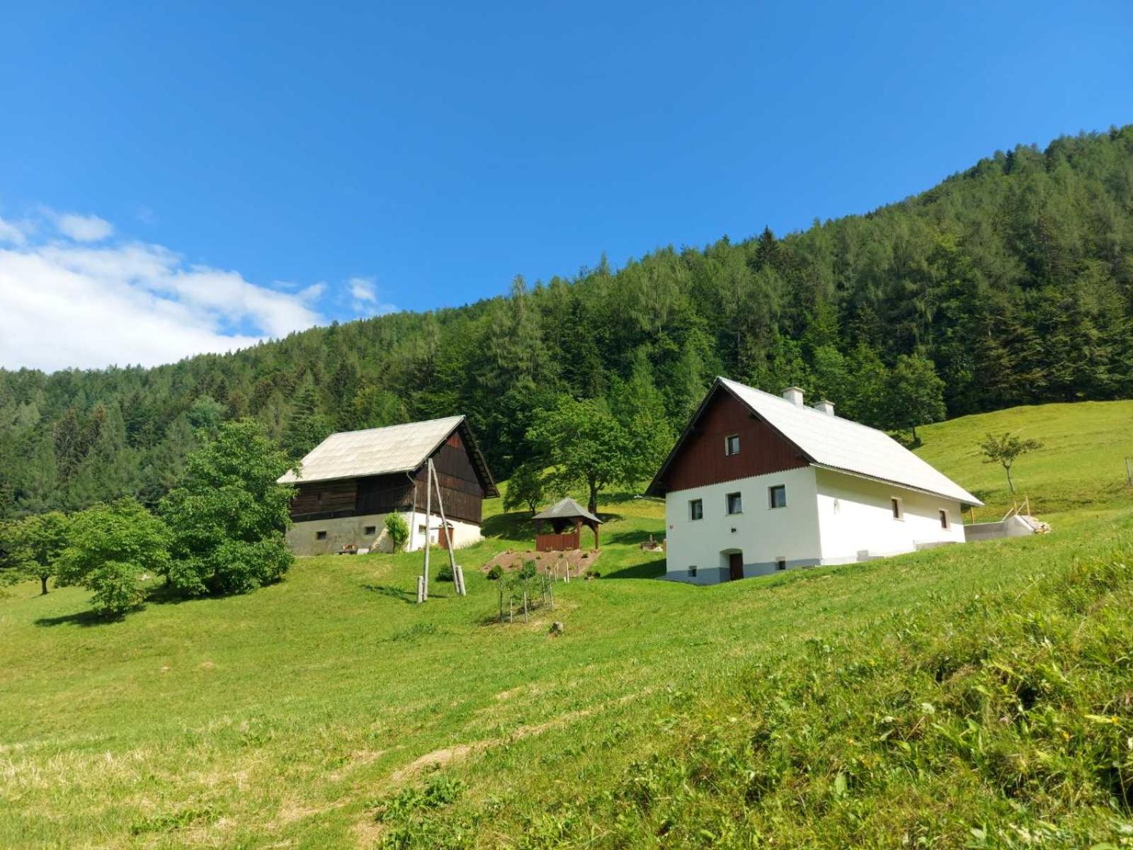 Jurček Holiday Home view 5