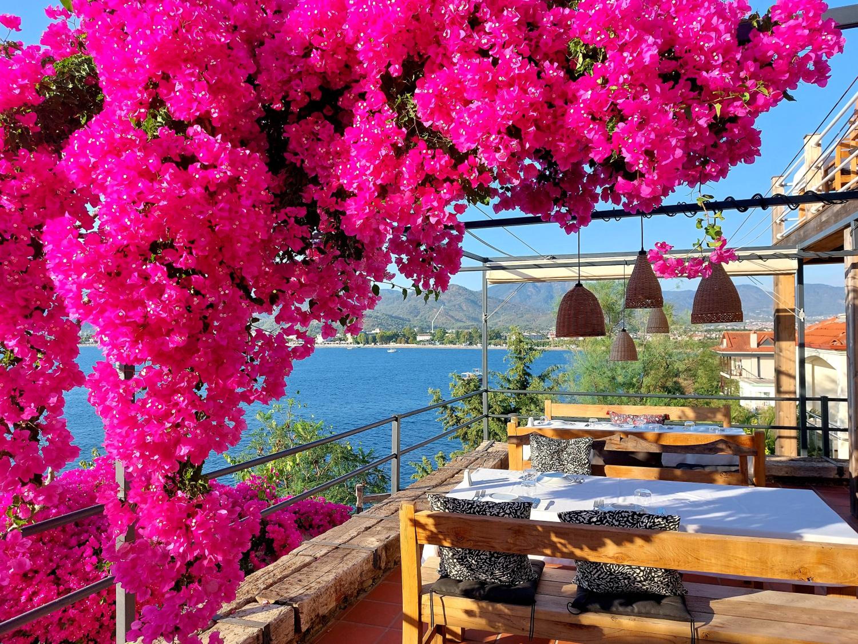 Ece Otel Sovalye Adası - Image 191