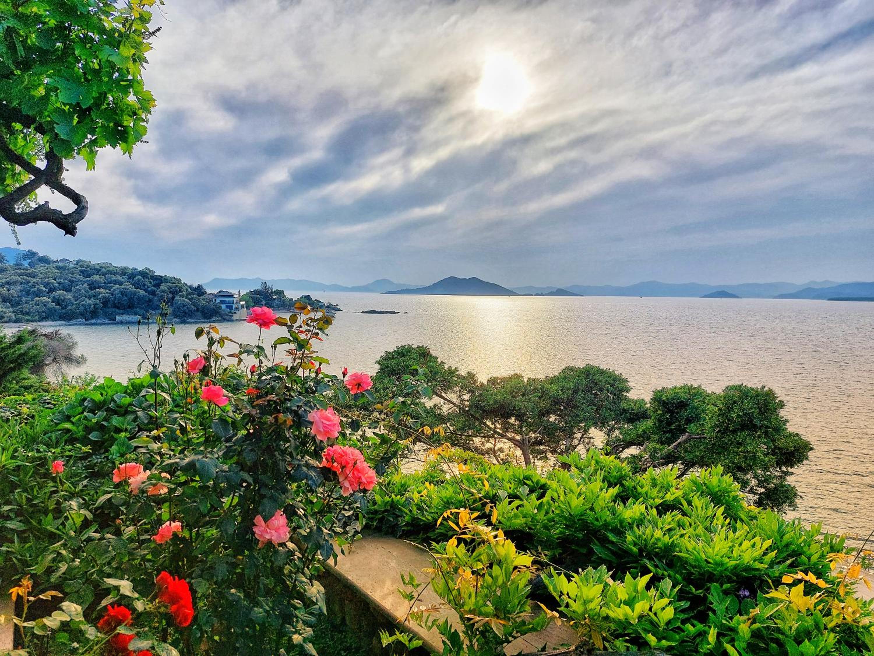 Ece Otel Sovalye Adası - Image 132