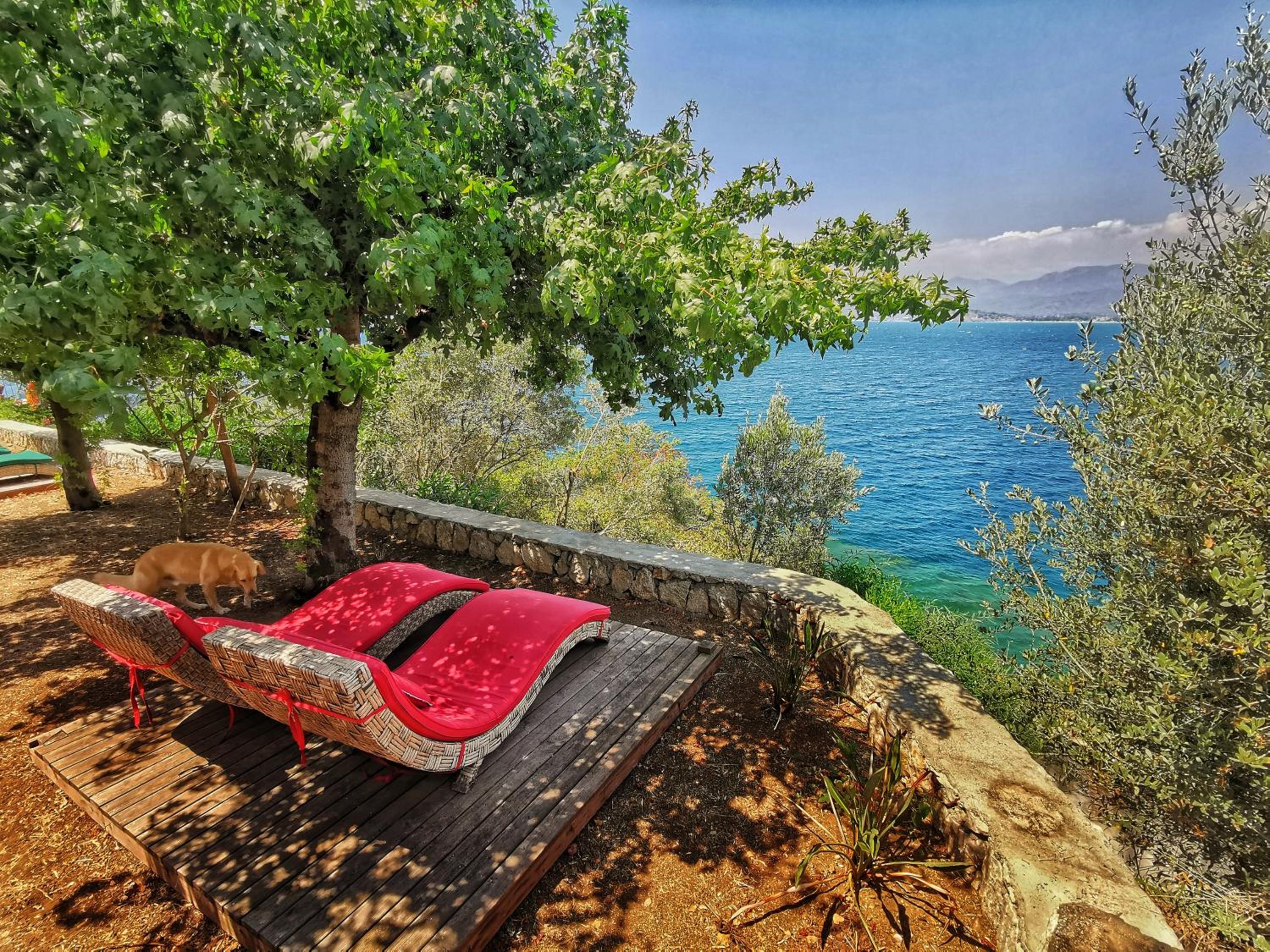 Ece Otel Sovalye Adası - Image 156