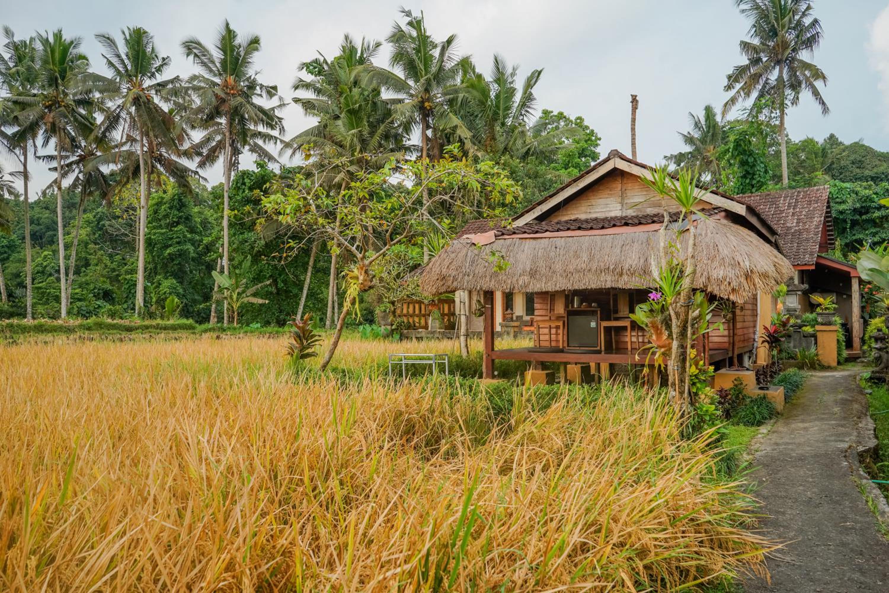 Villa JJ and Spa Ubud