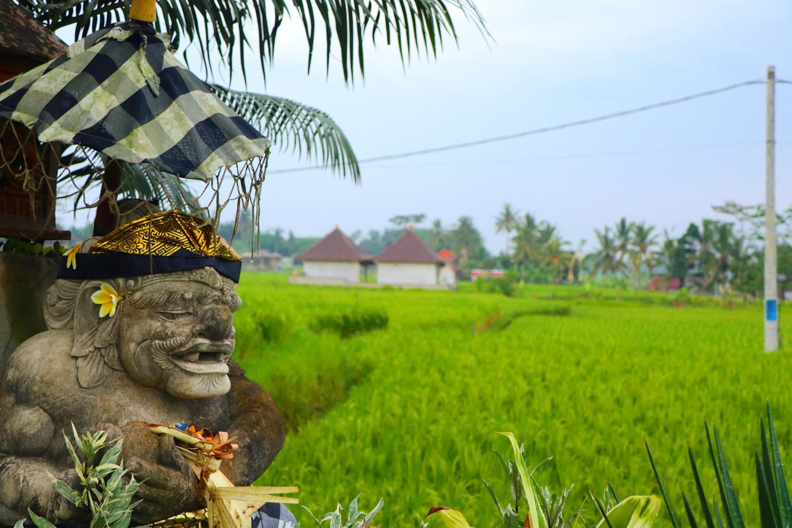 Villa JJ and Spa Ubud