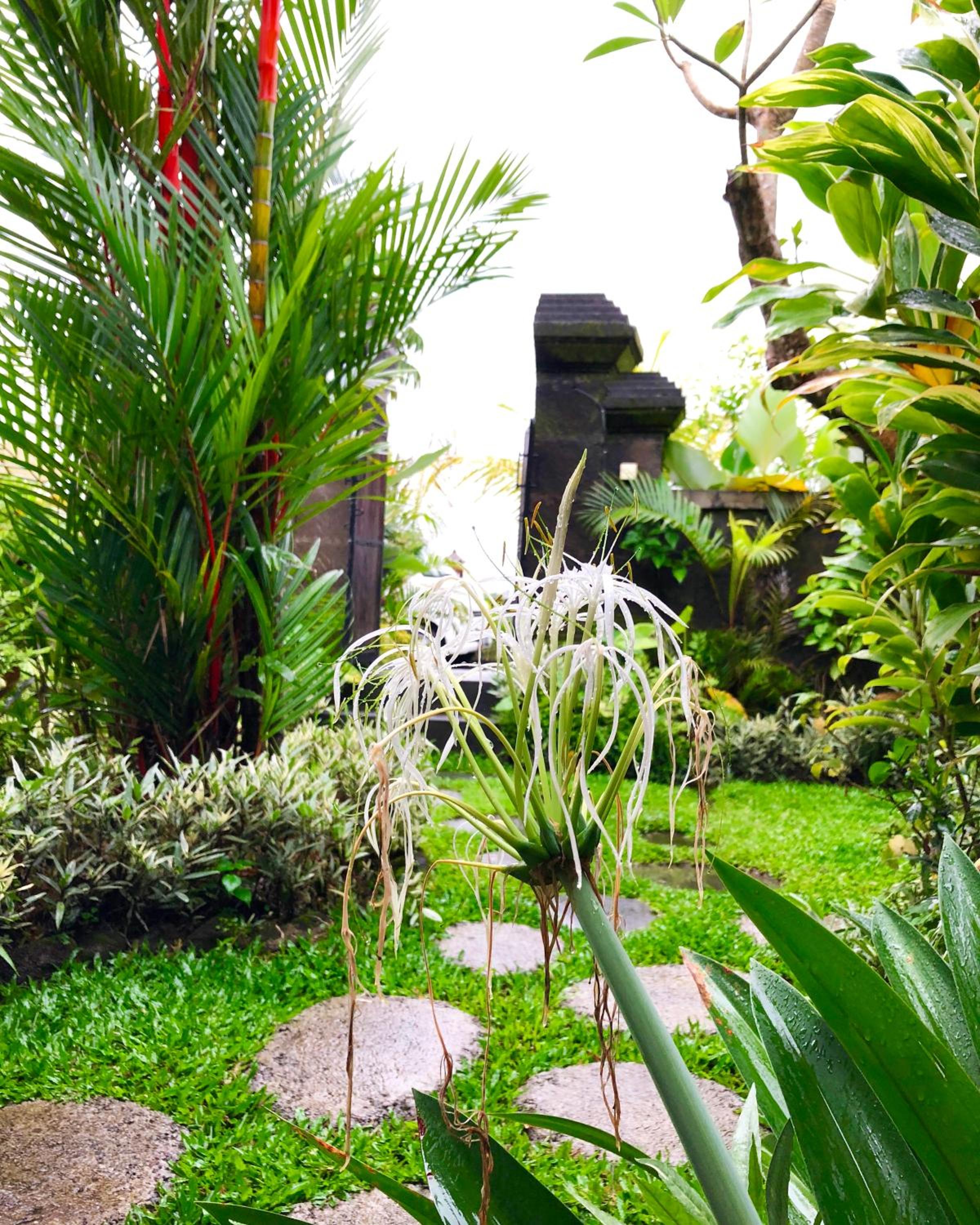 Villa JJ and Spa Ubud