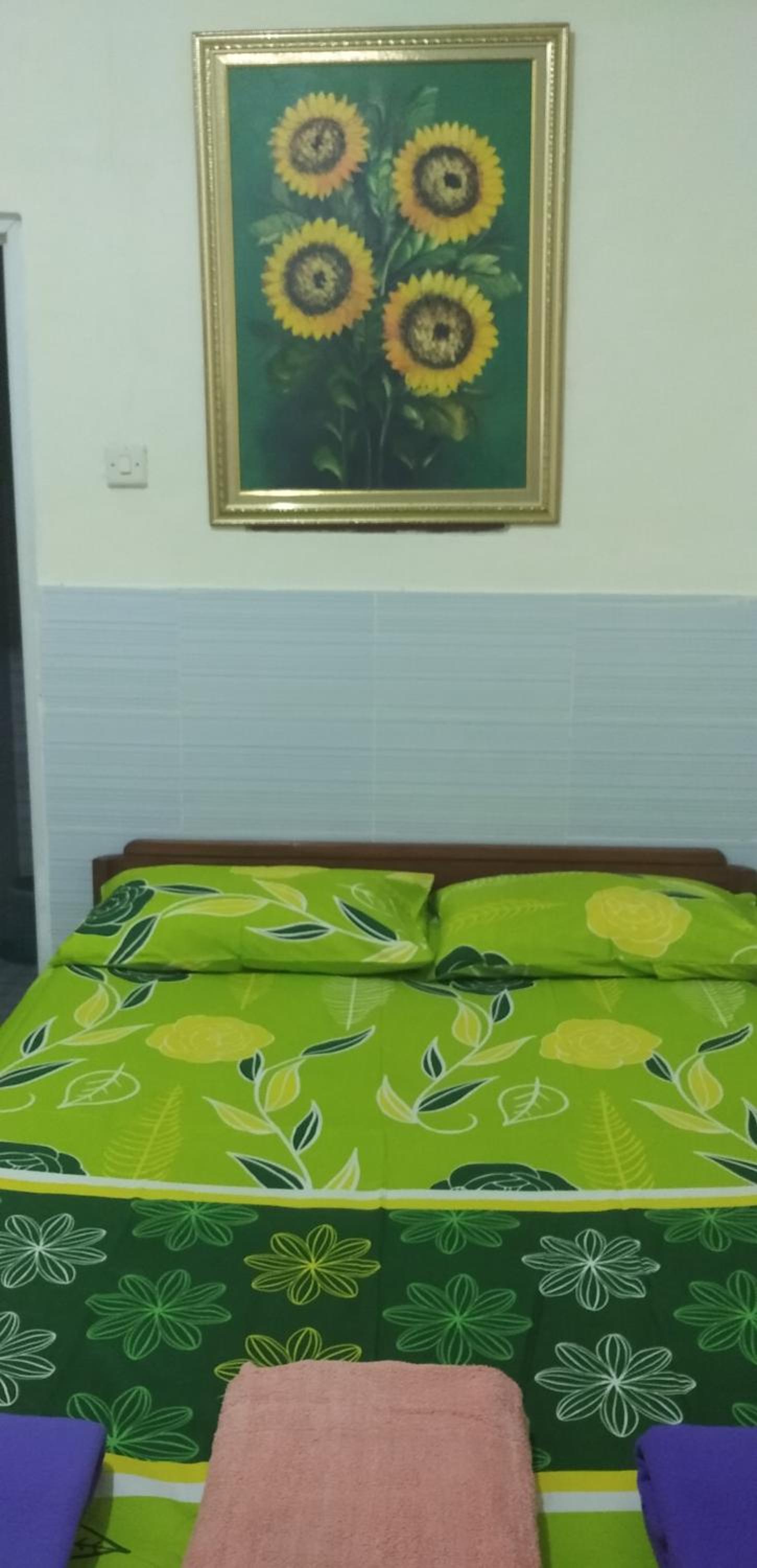 Mango Tree Homestay & Ijen Tour view 4