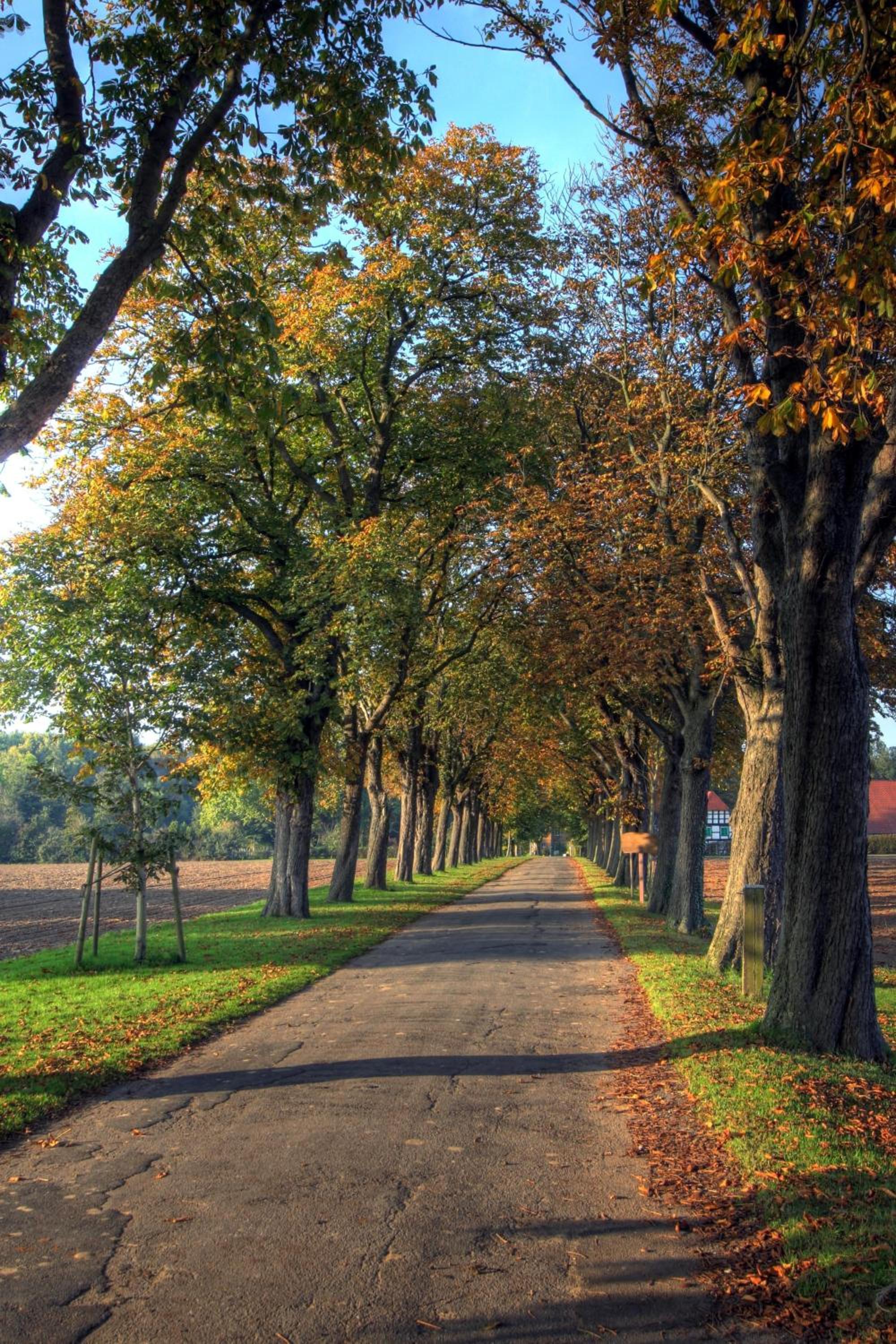 Schlosspark Hollwinkel