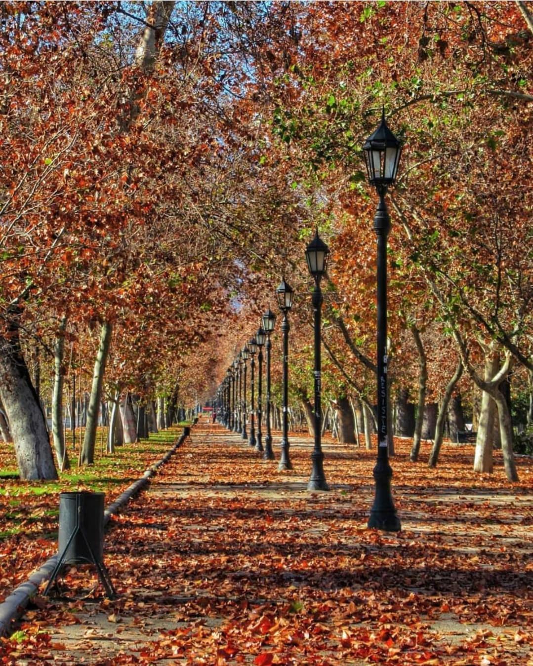 Bed & Breakfast Lastarria