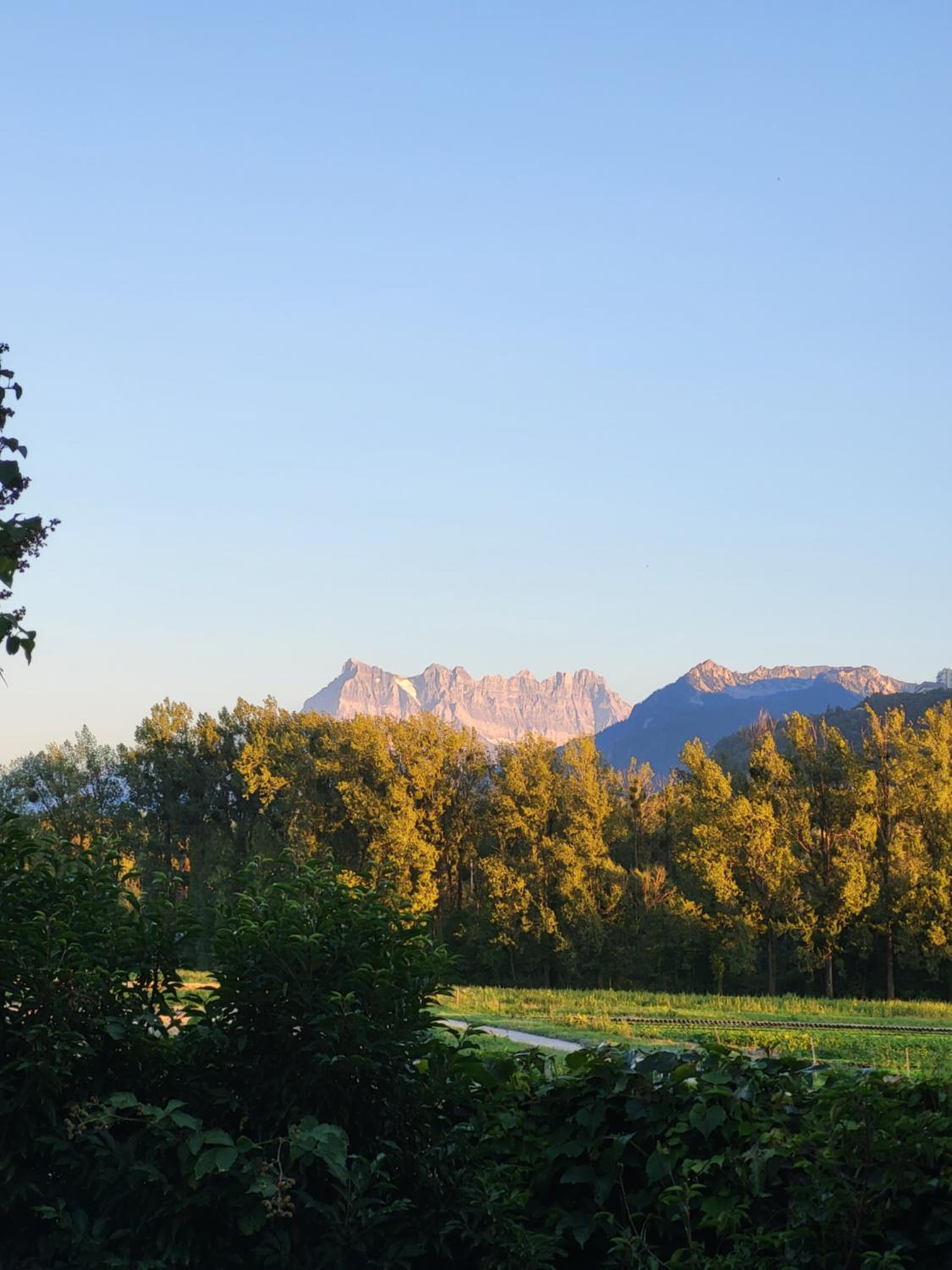 Rhône Cottage 4, villa, jardin, vélos, balançoires, jeux, 200m étang Vieux Rhône