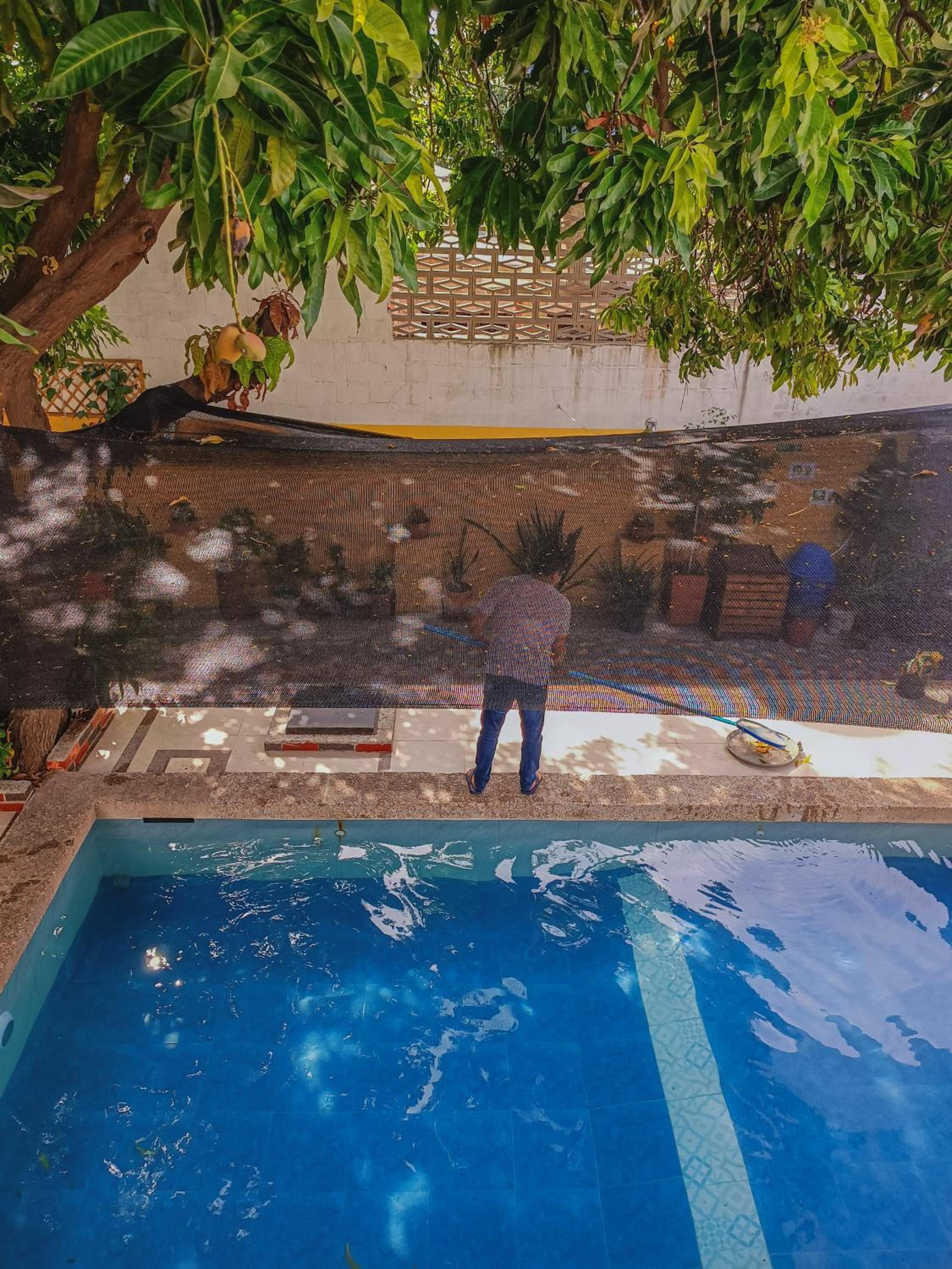 Momoluu's house