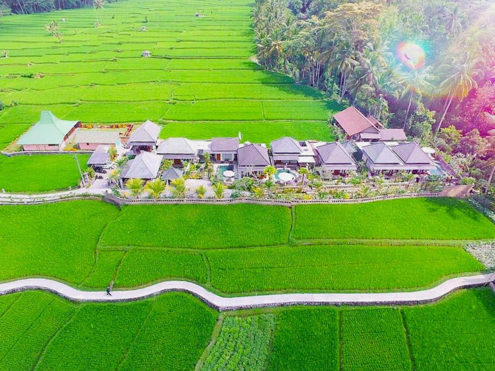 Hotel Villa JJ & Spa Ubud