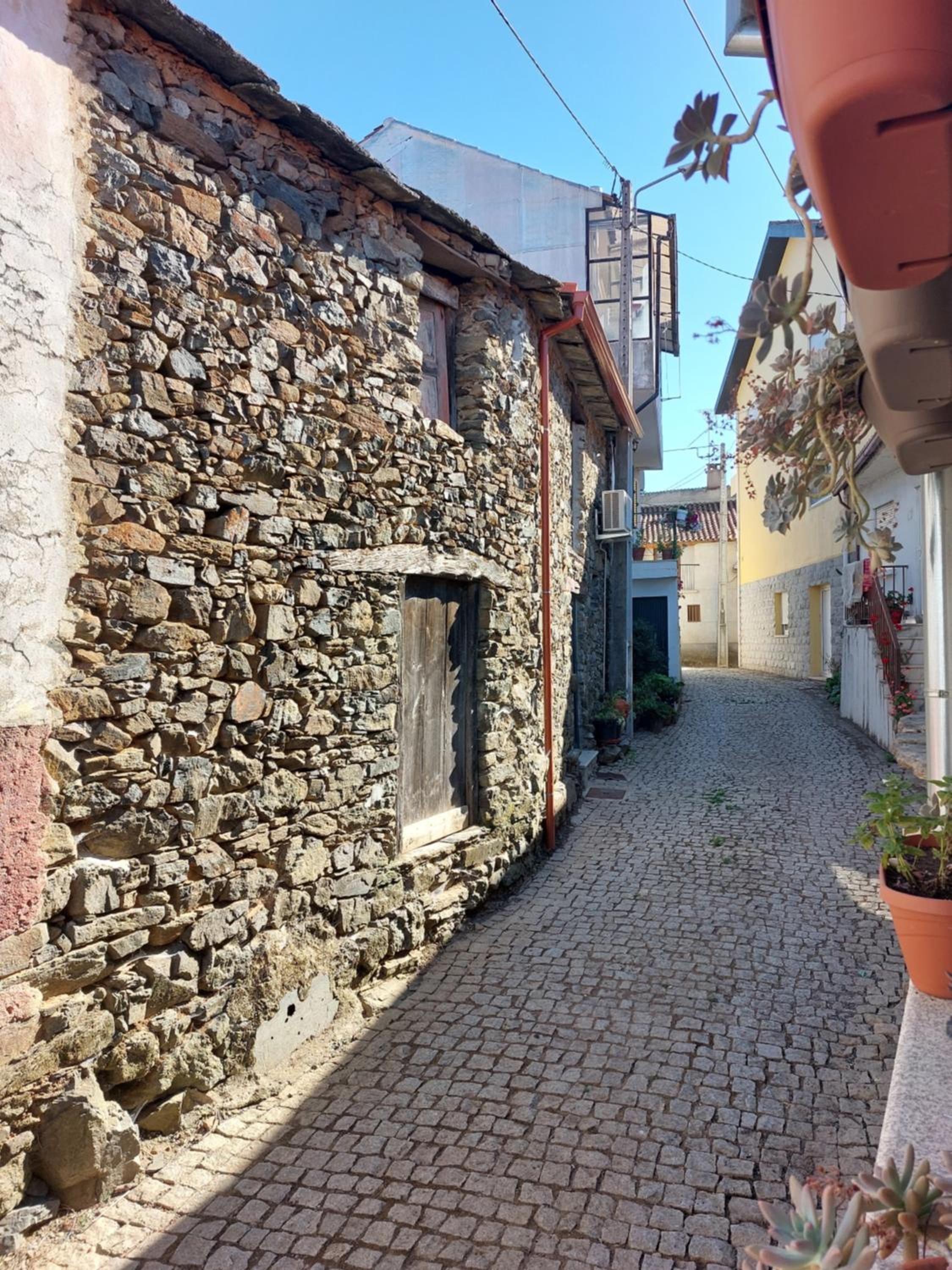 O Palheirinho - Turismo Rural - Bragança view 3