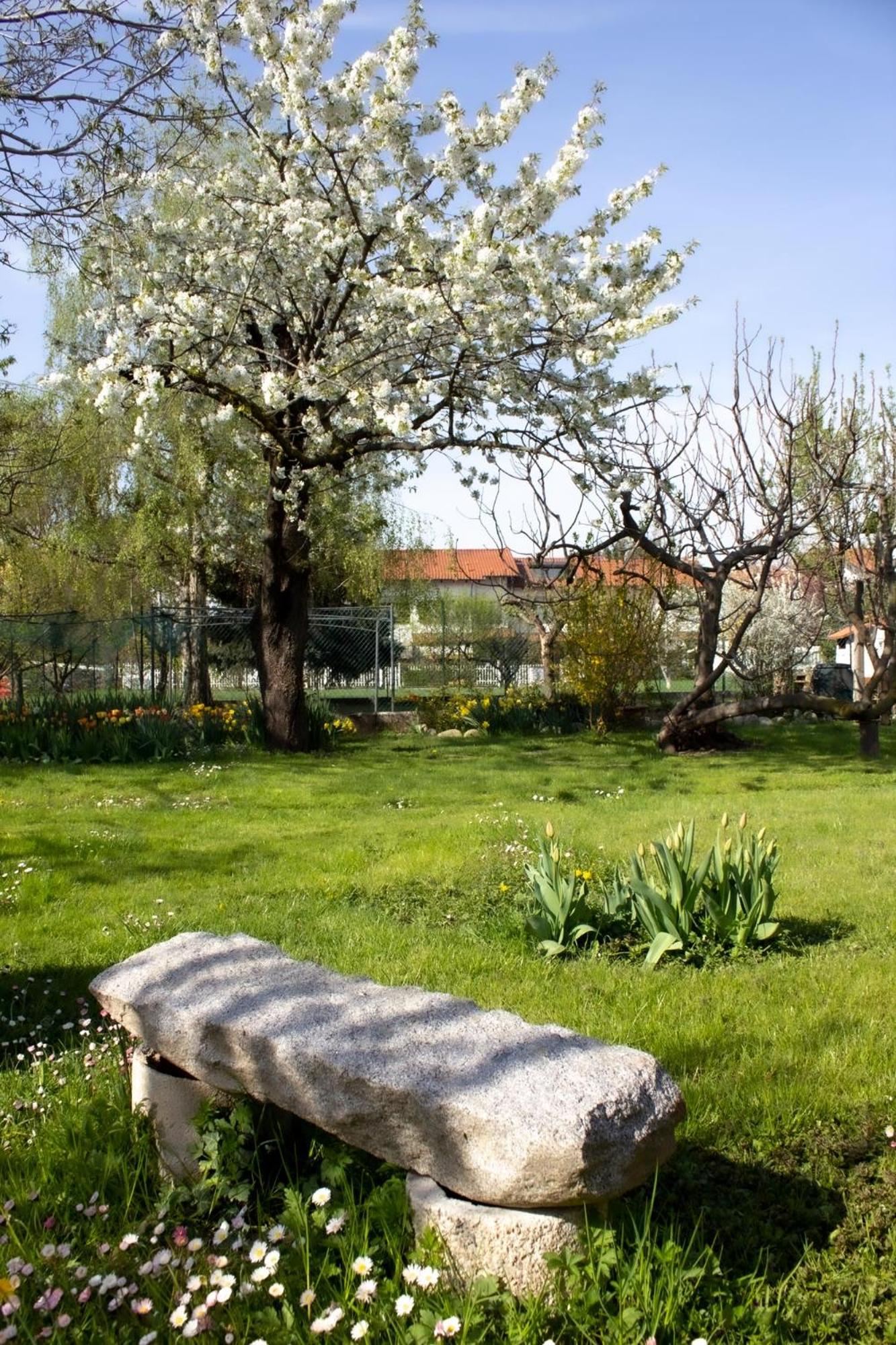 Villa Delbia - Il Sogno view 5