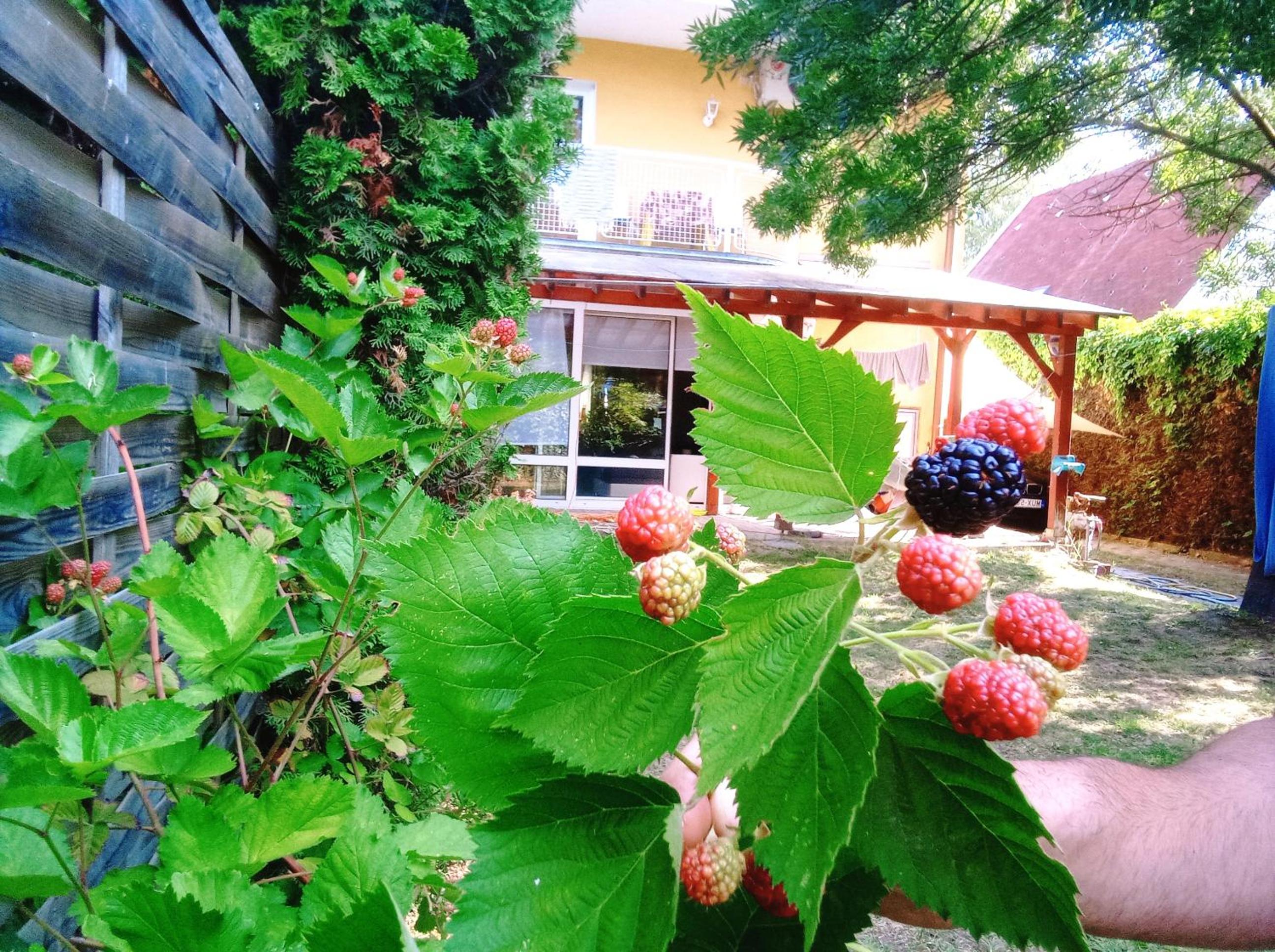 Photo 47