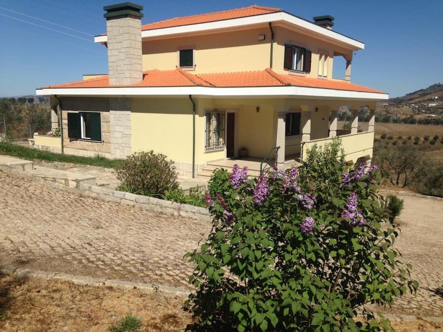Casa dos Copins view 3