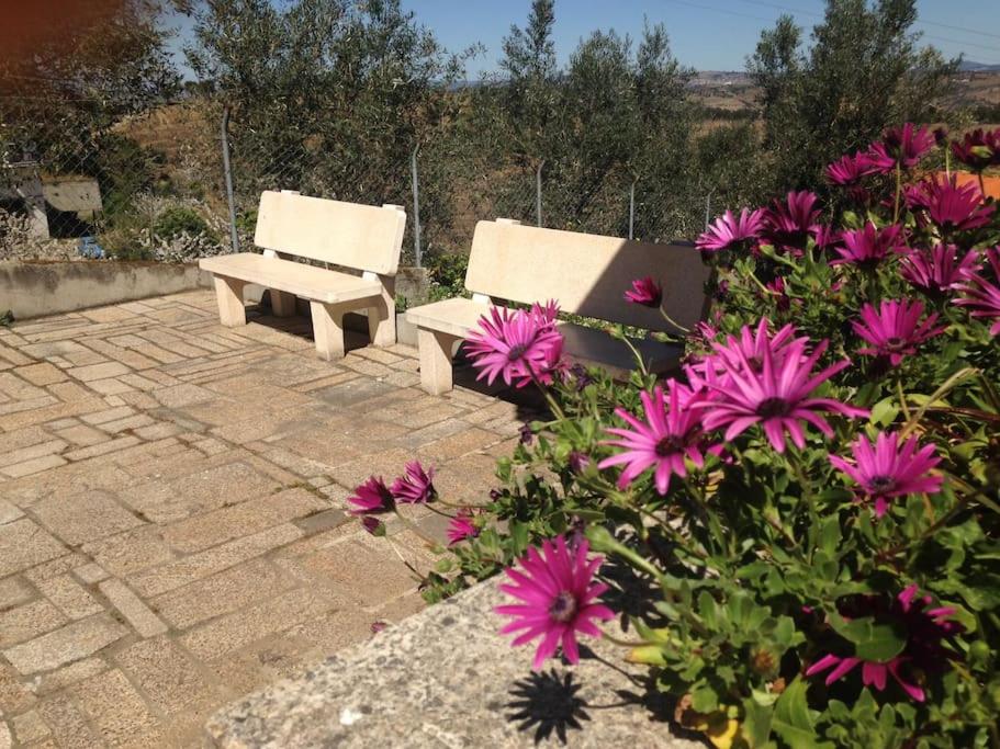 Casa dos Copins view 5