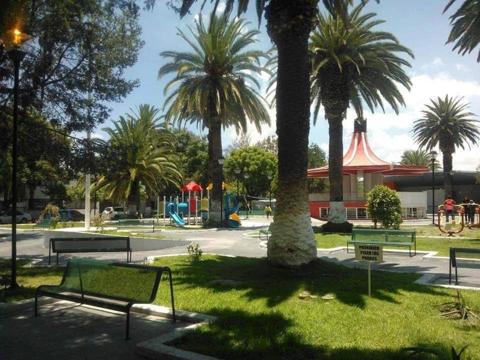 Photo 20