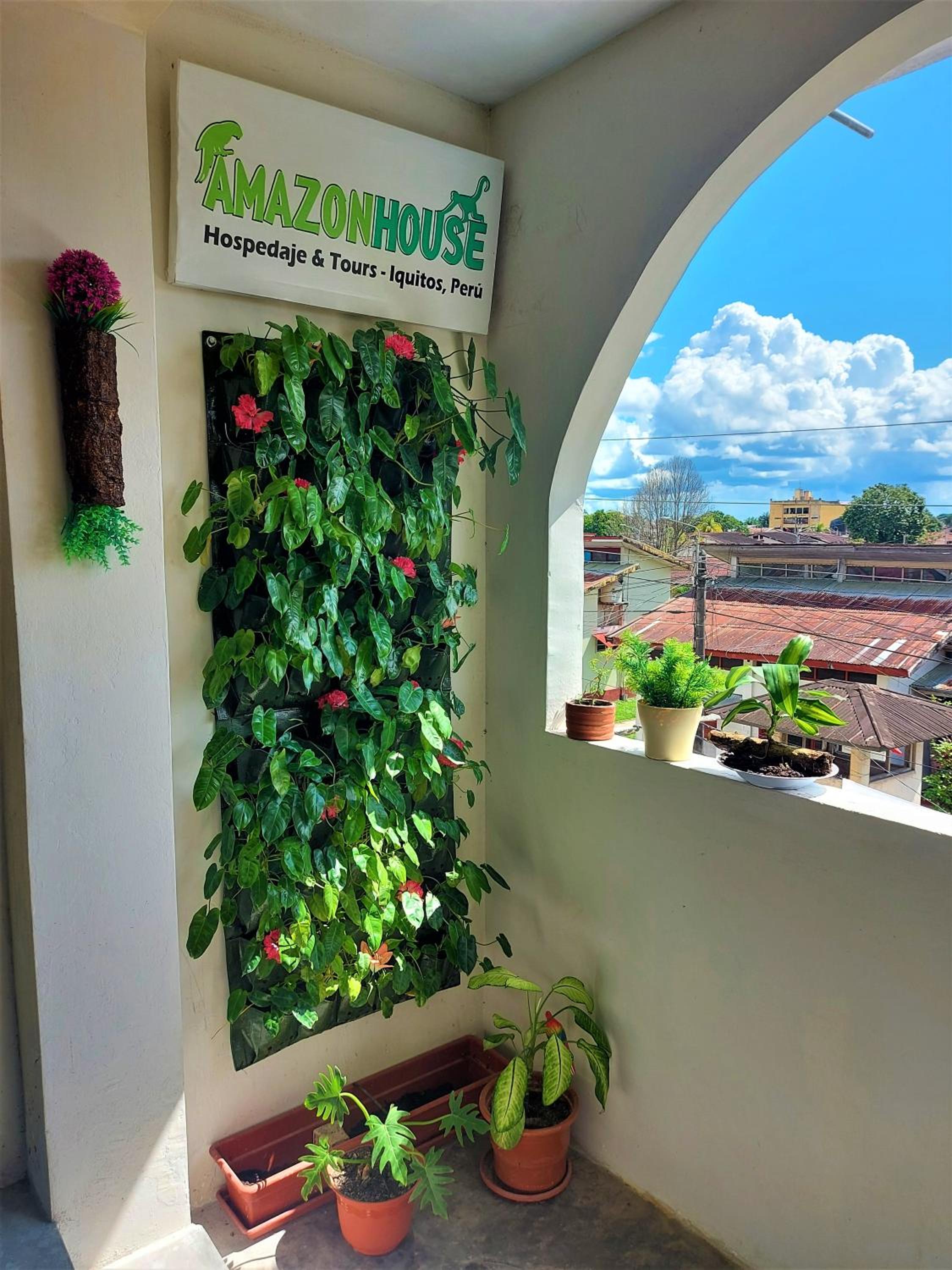 Amazon House Hostel
