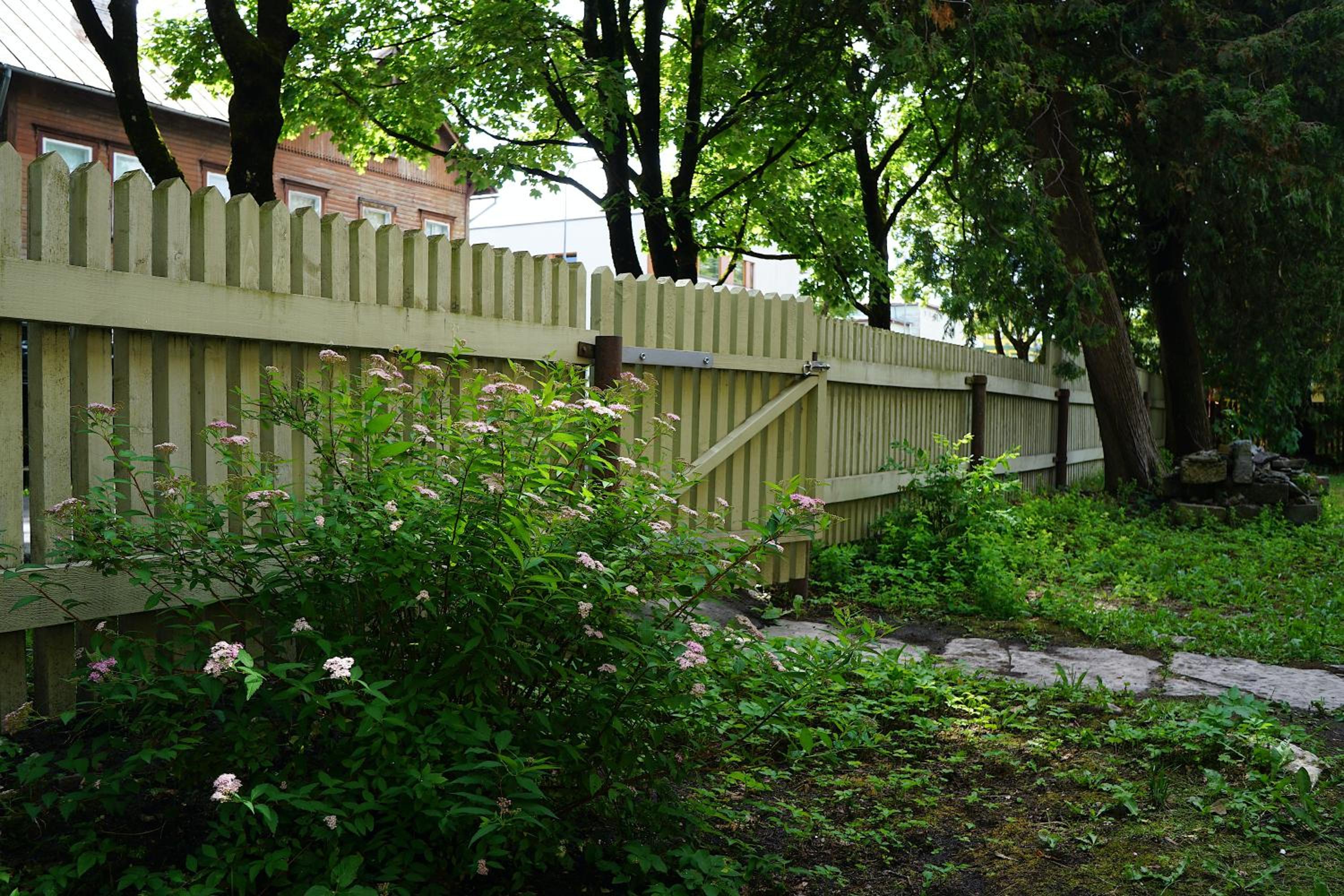 Photo 20