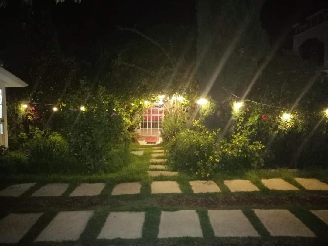 Hotel Posada Tolteca view 5