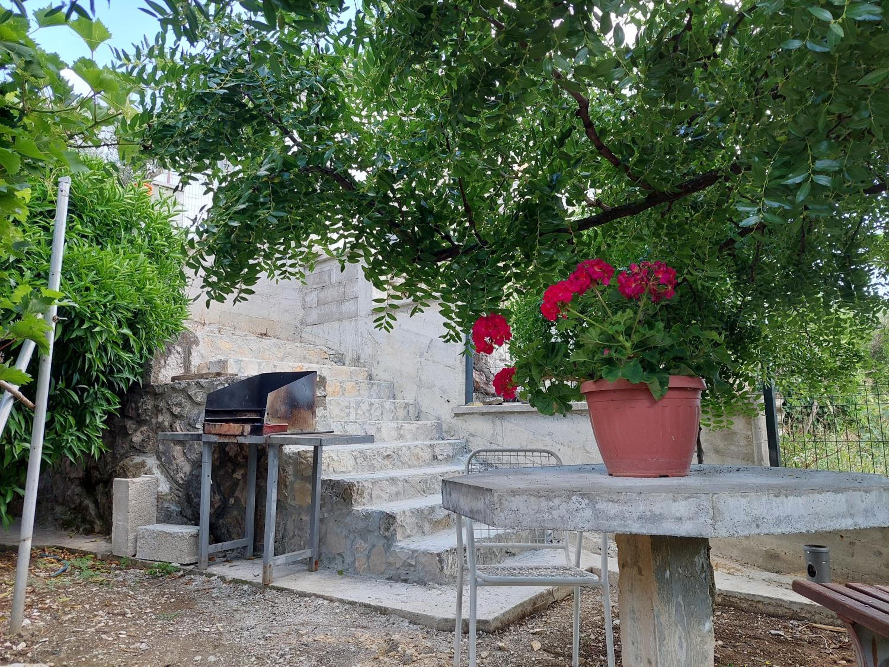 Photo 31