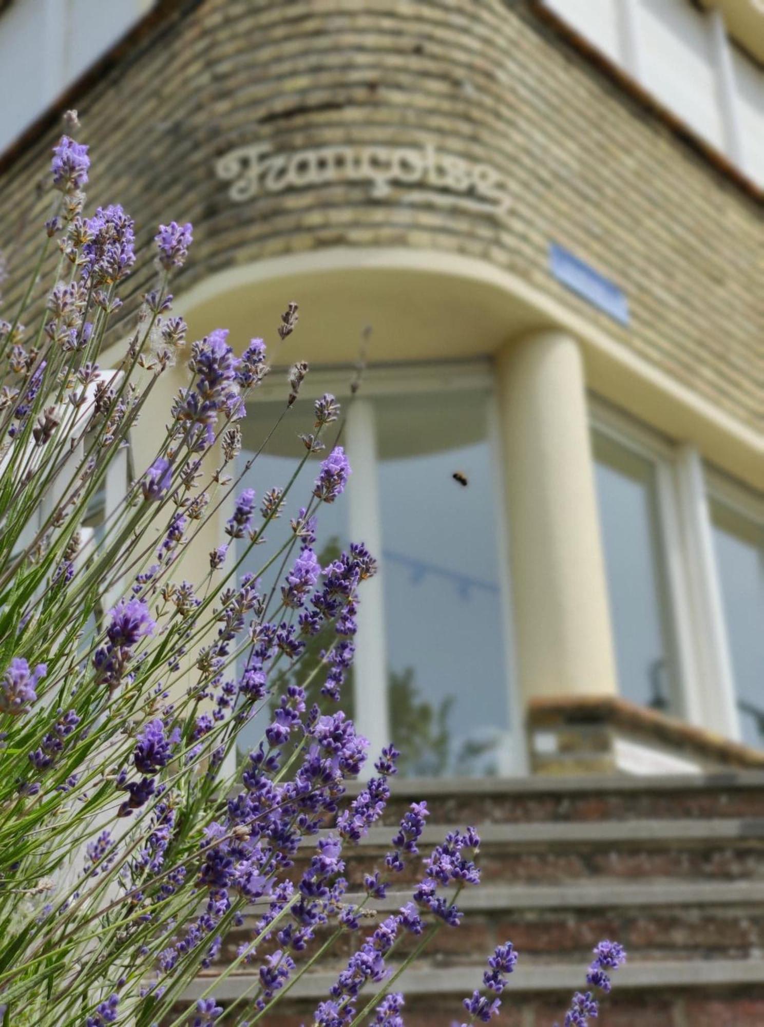 Familieappartement met tuin in de Panne