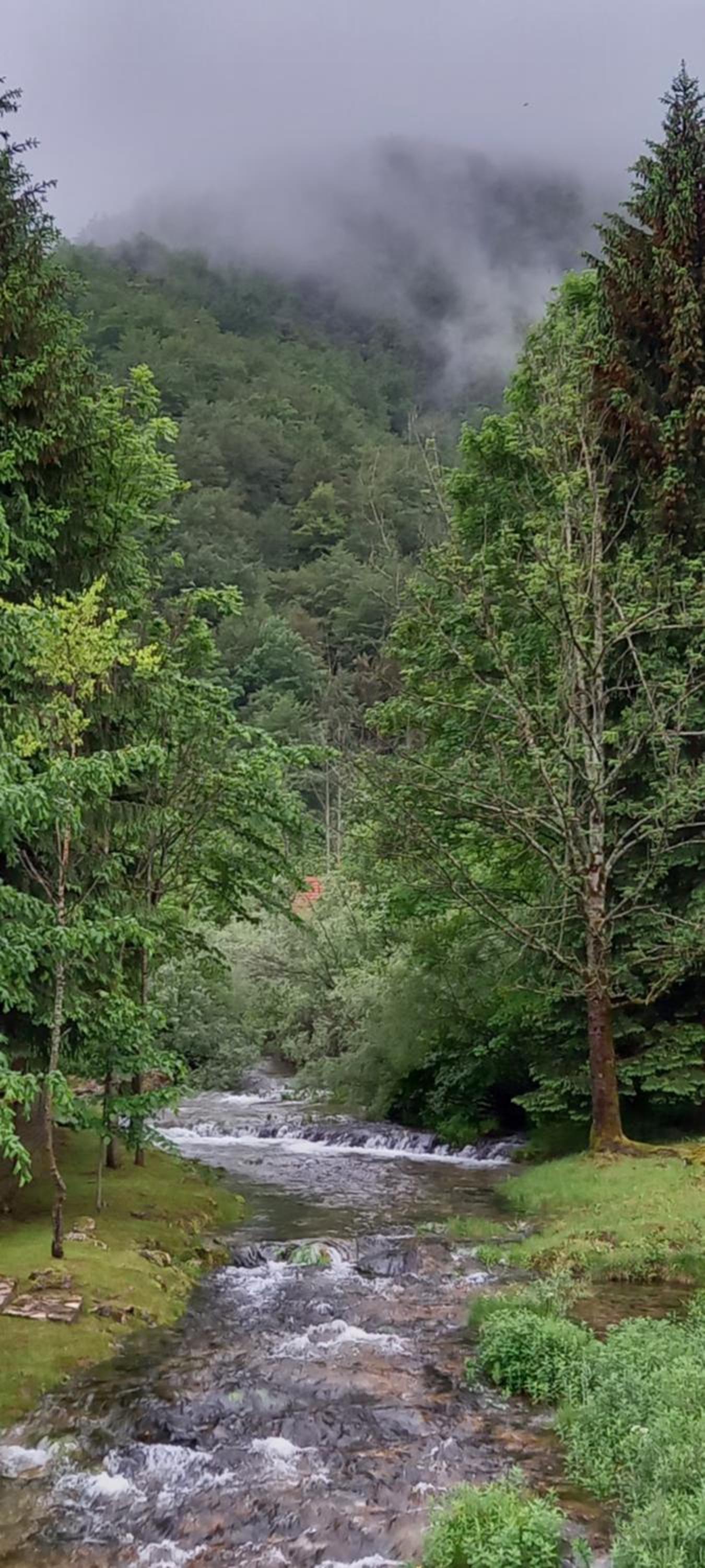 Photo 47