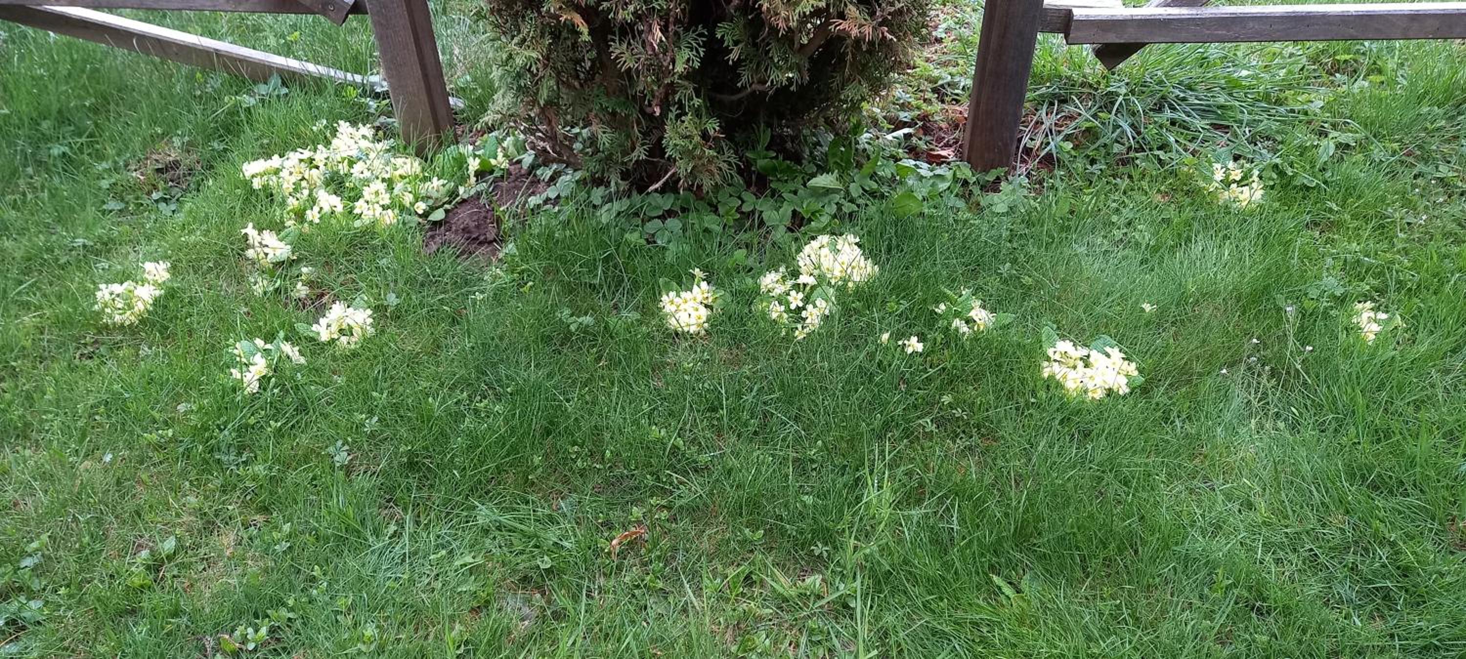 Photo 49