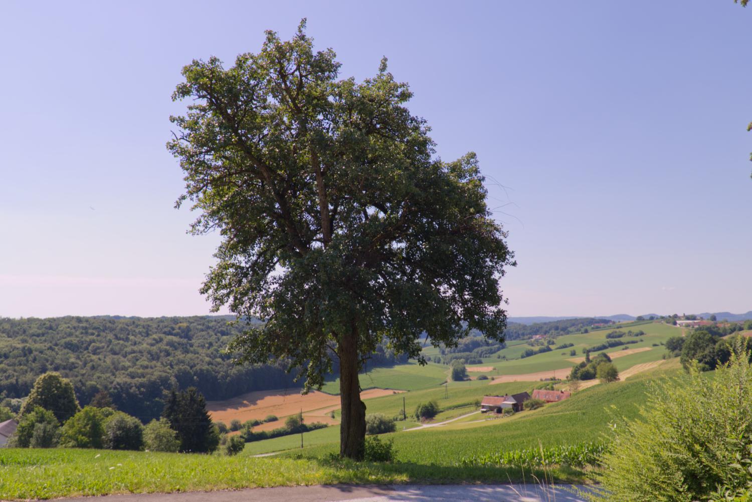 Raus aufs Land