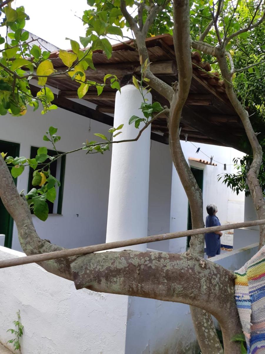Casa a vulcano piano isole Eolie photo 4