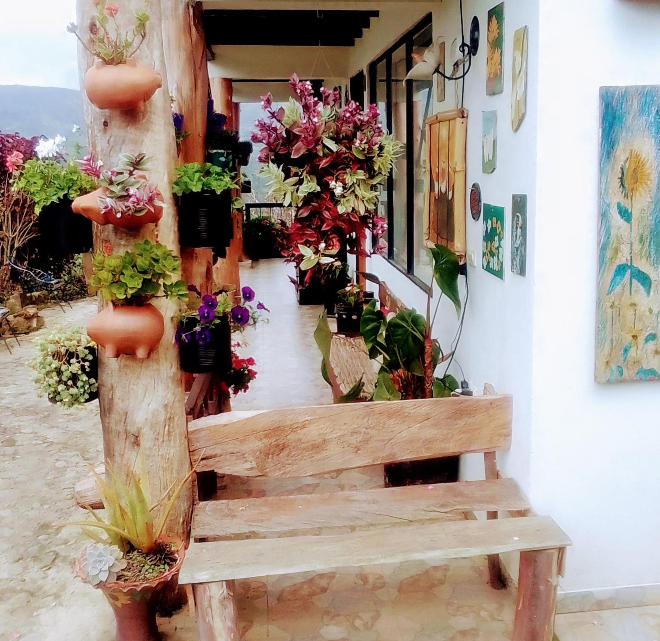 Finca Renacer