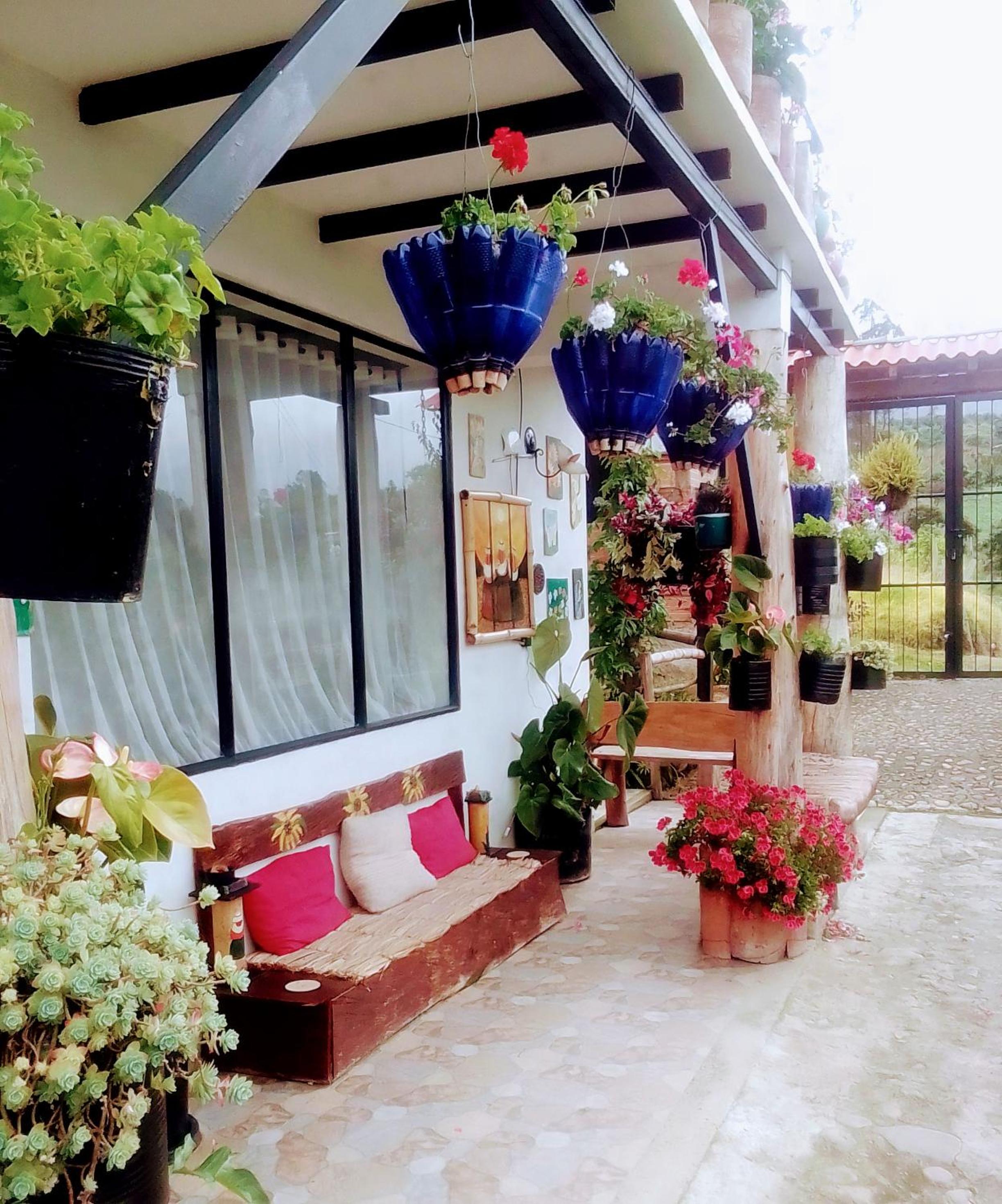 Finca Renacer